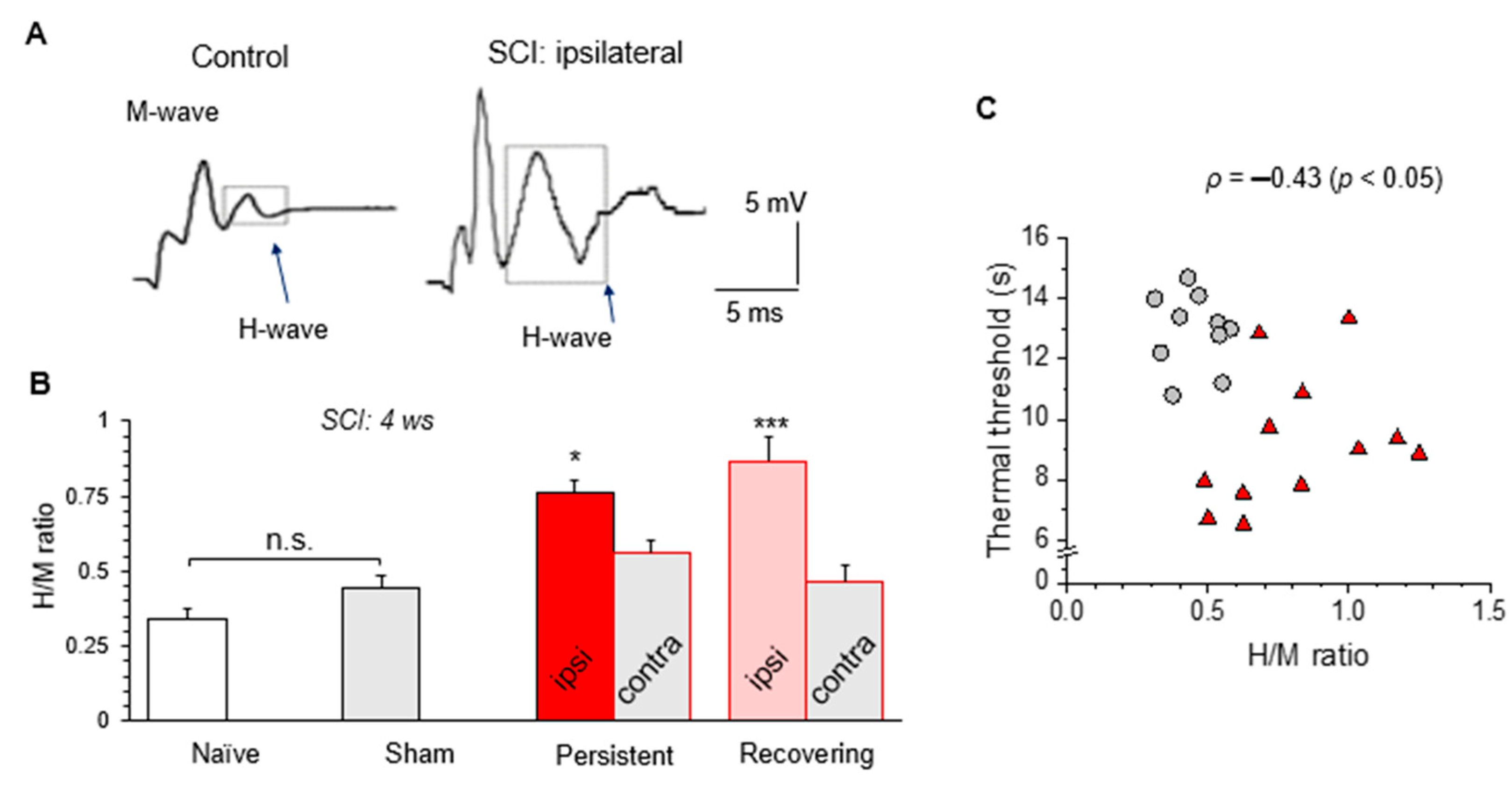 Bioengineering 09 00262 g007 Bioengineering 09 00262 g007