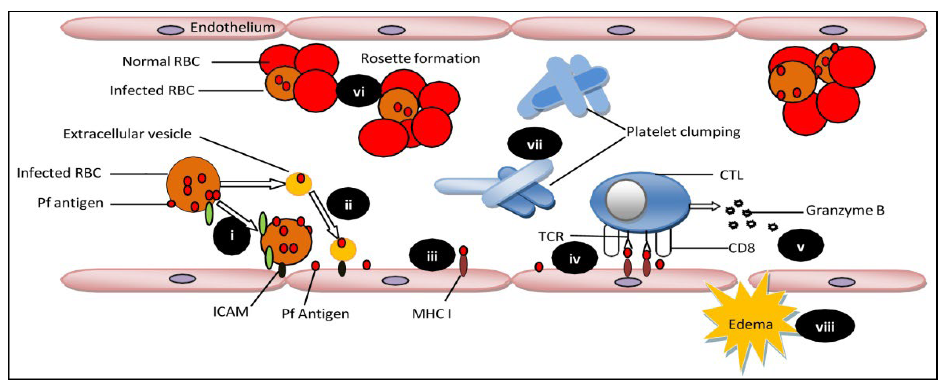 Bioengineering 09 00263 g001