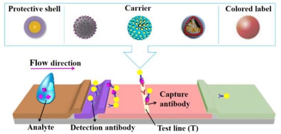 Bioengineering 09 00266 g001 550