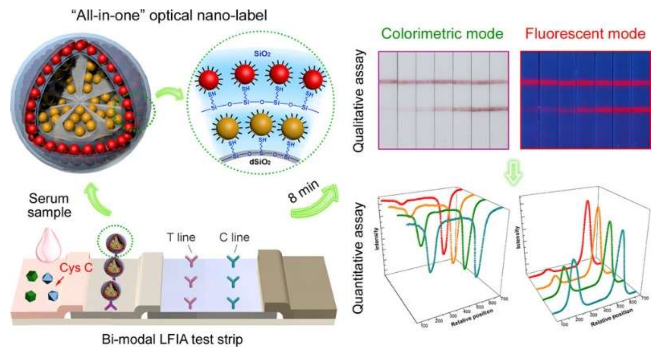 Bioengineering 09 00266 g004