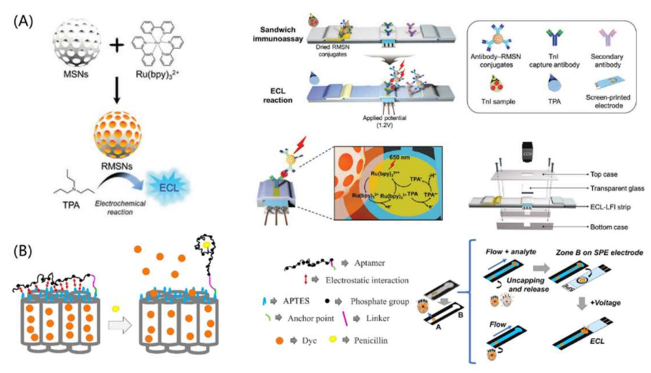 Bioengineering 09 00266 g005