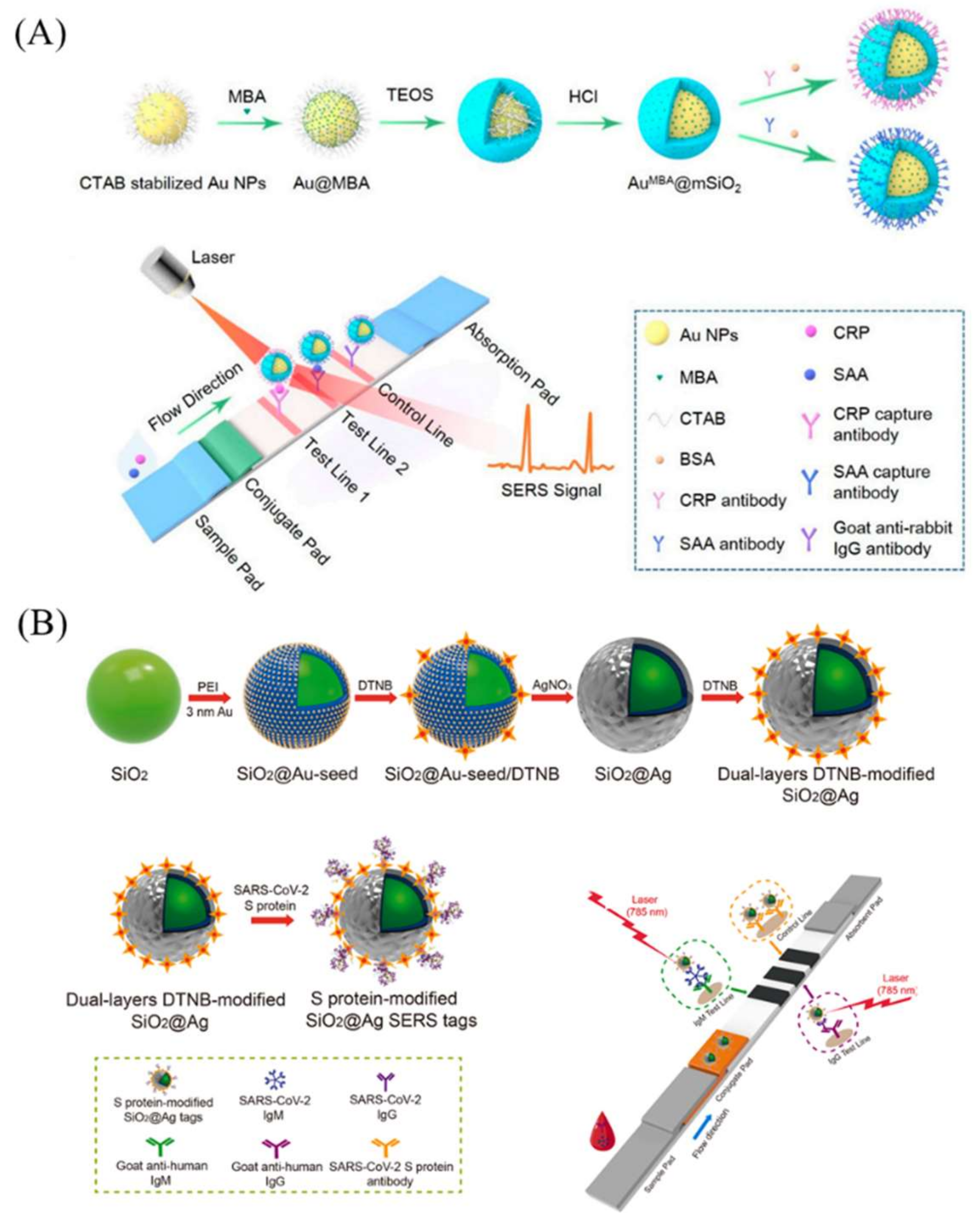 Bioengineering 09 00266 g006