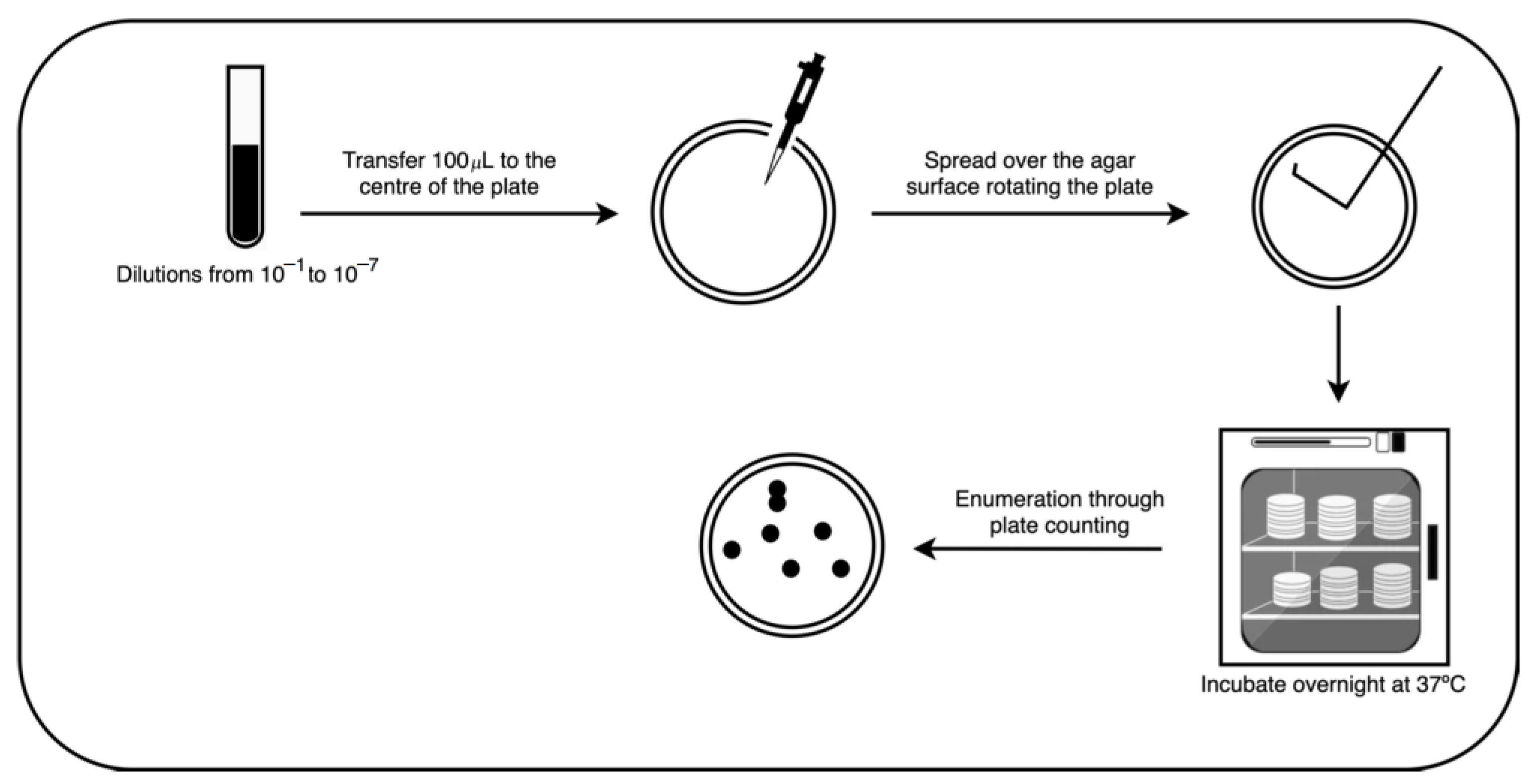 Bioengineering 09 00271 g001