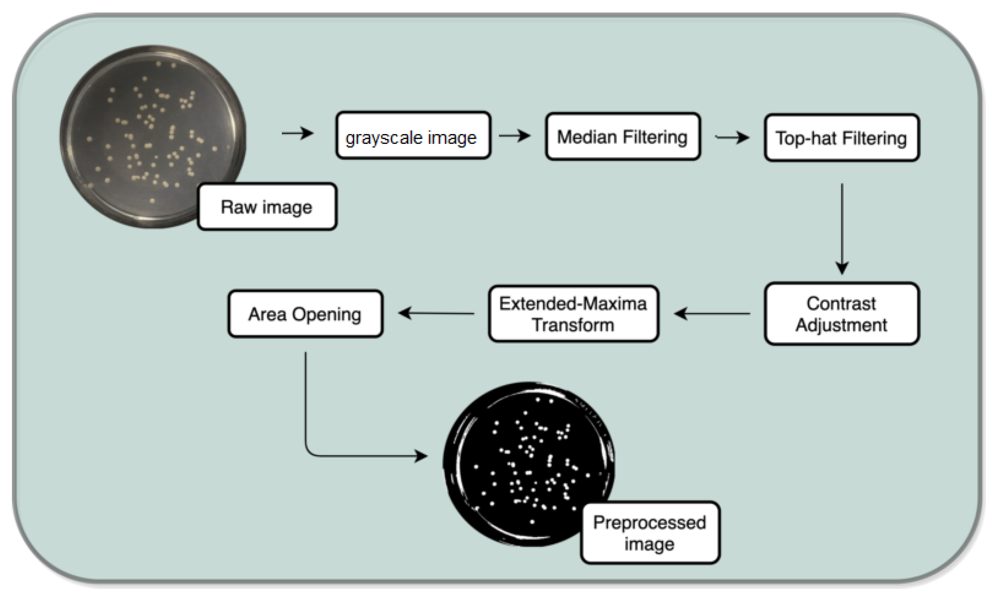 Bioengineering 09 00271 g004