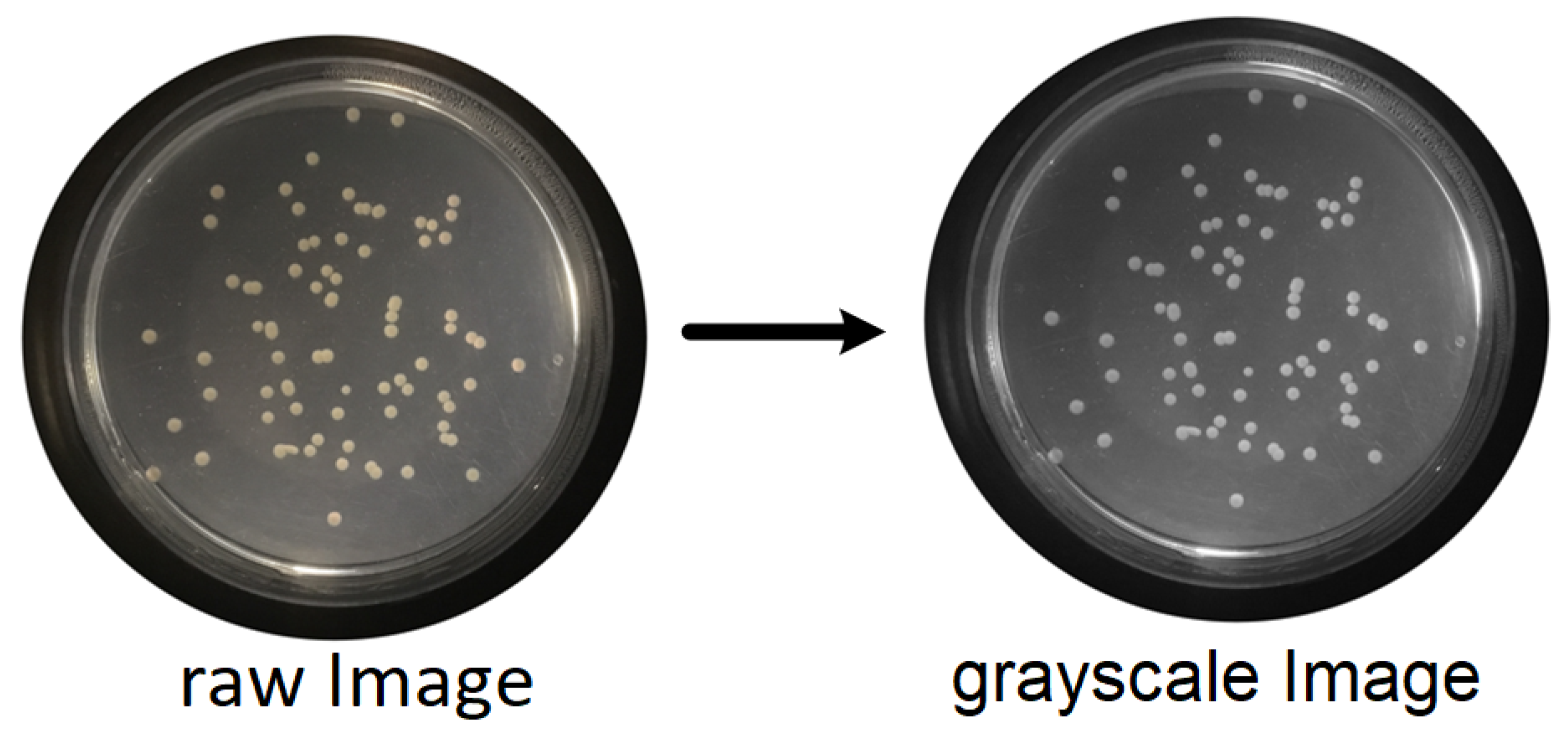 Bioengineering 09 00271 g005