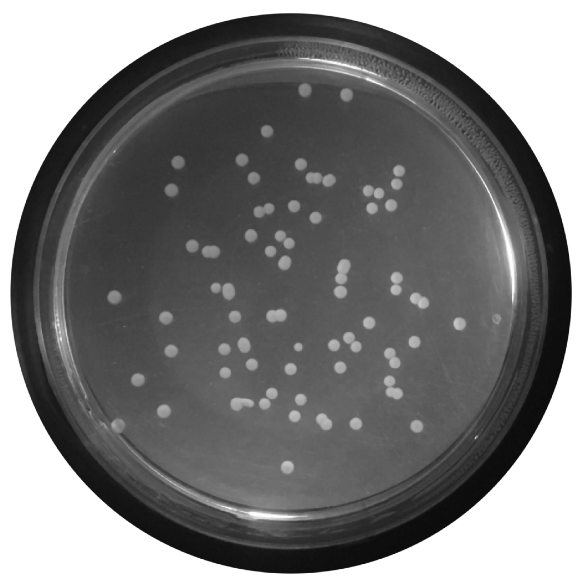 Bioengineering 09 00271 g006