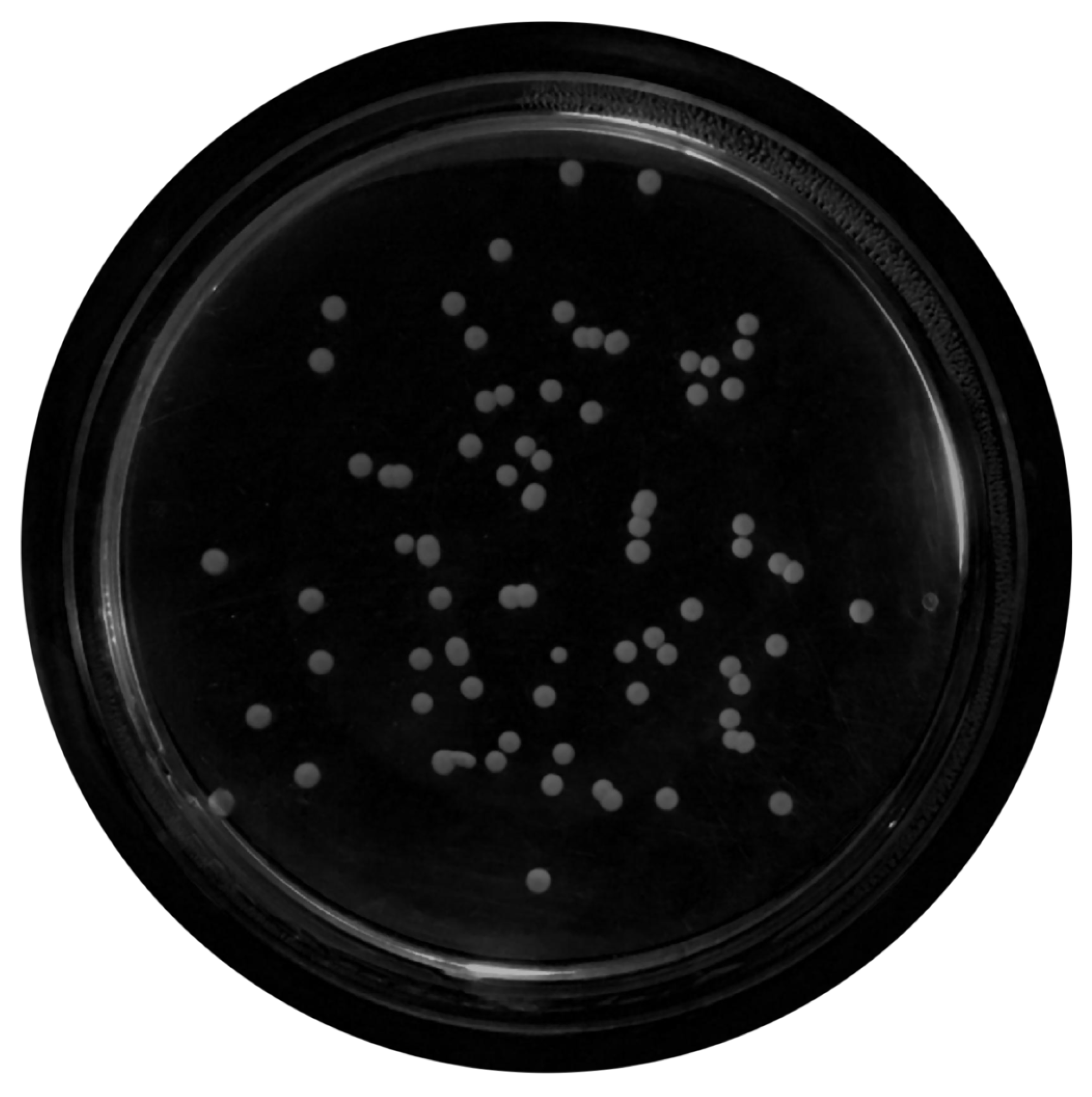 Bioengineering 09 00271 g007