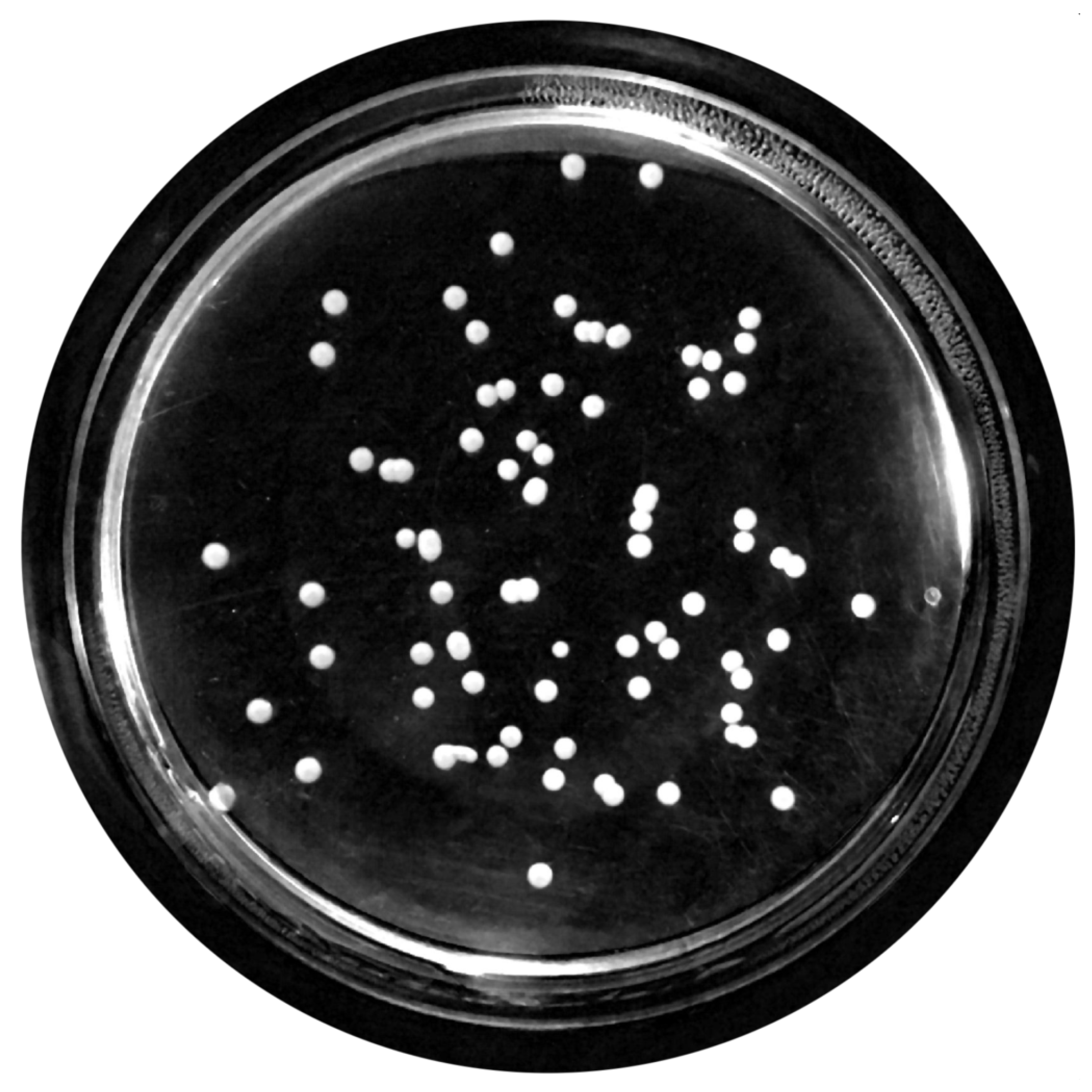 Bioengineering 09 00271 g008