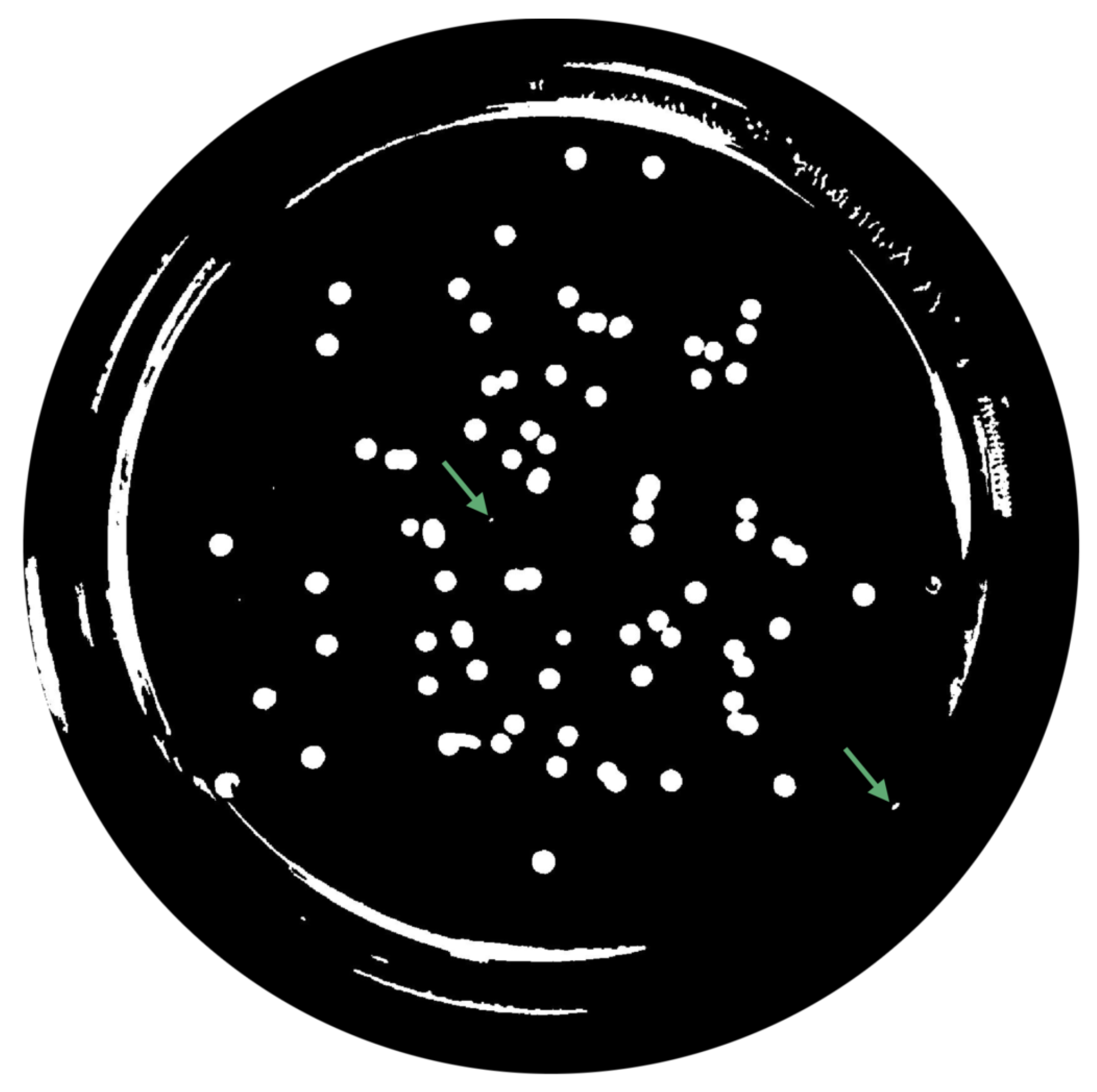 Bioengineering 09 00271 g009