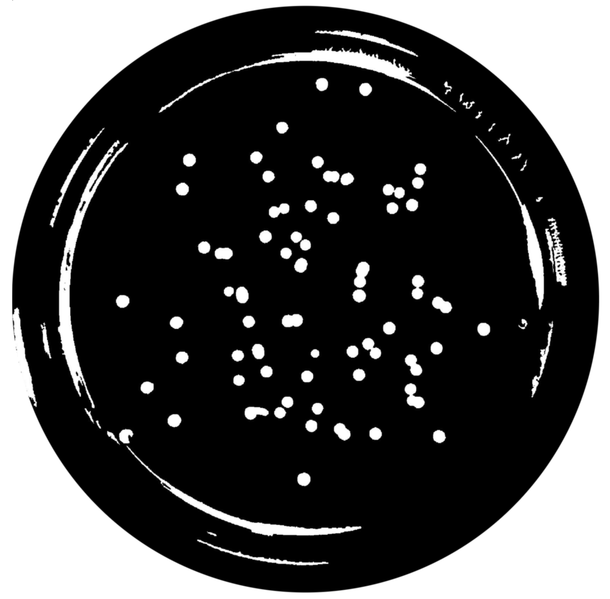 Bioengineering 09 00271 g010
