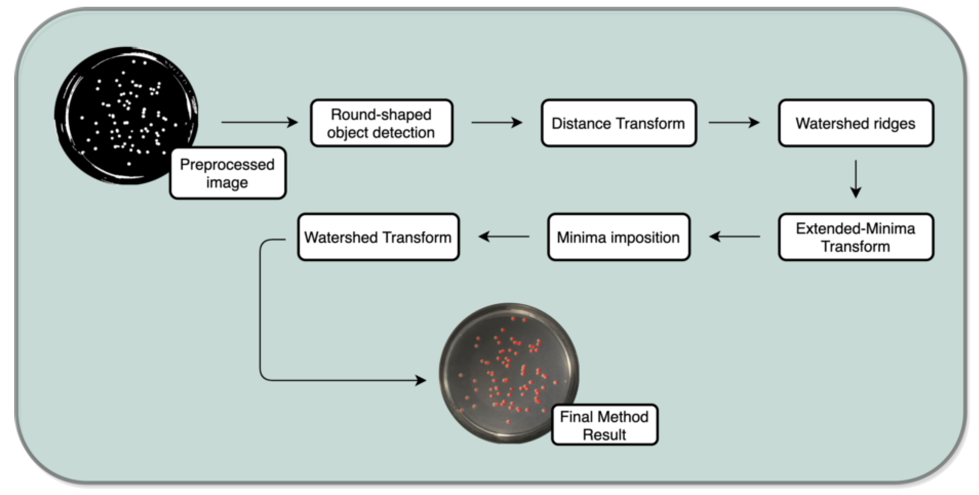 Bioengineering 09 00271 g011