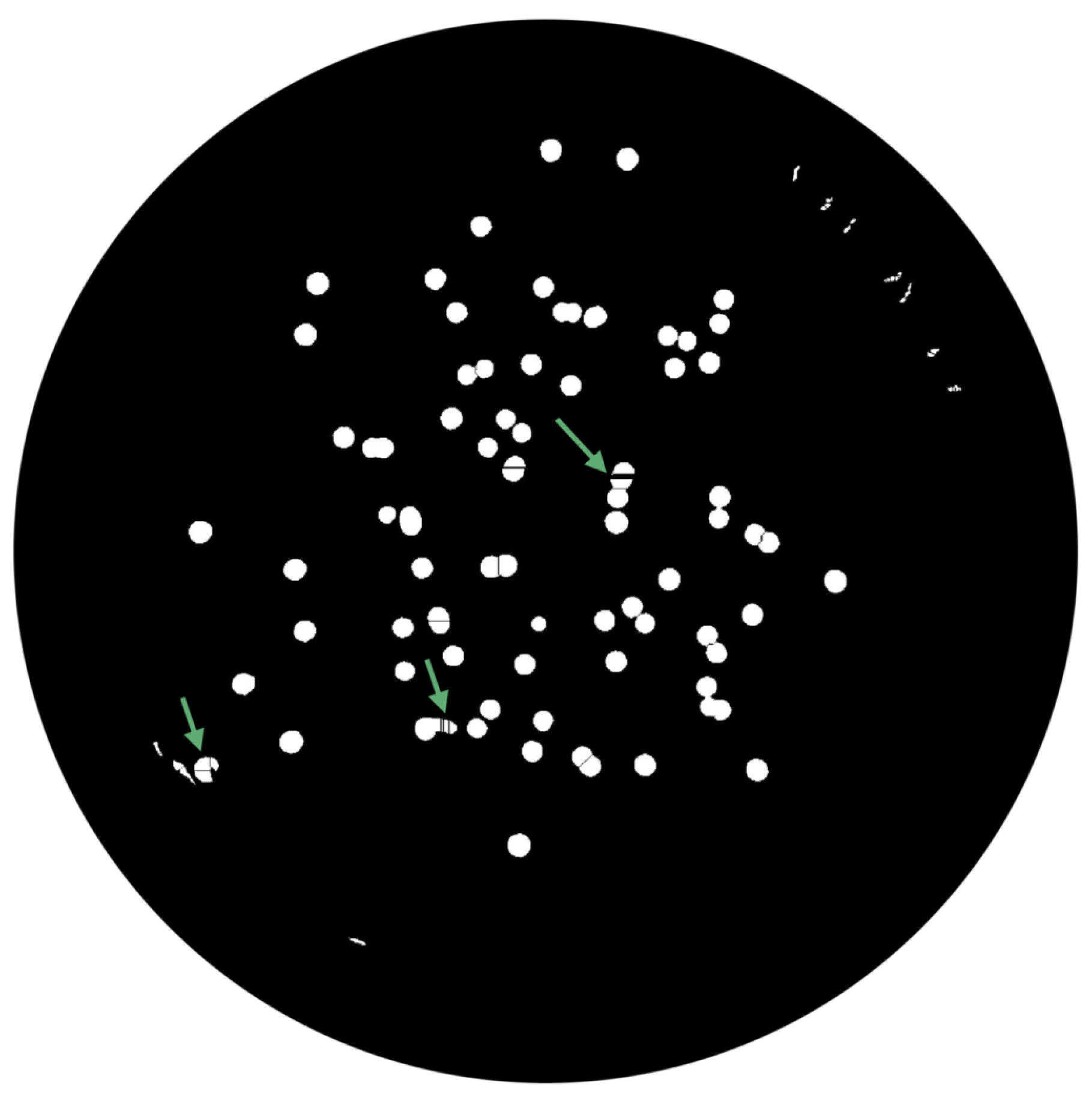 Bioengineering 09 00271 g014