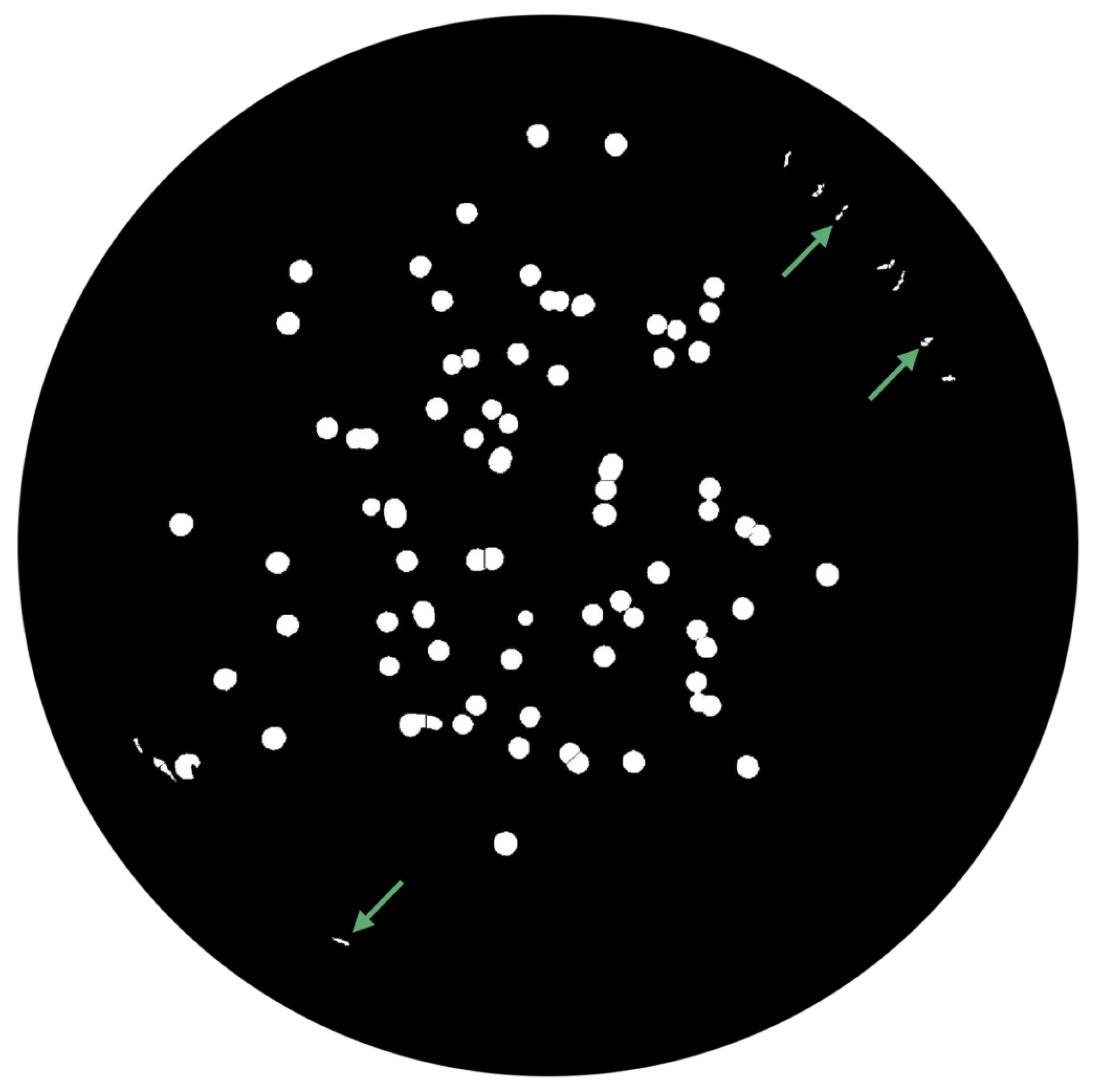 Bioengineering 09 00271 g017