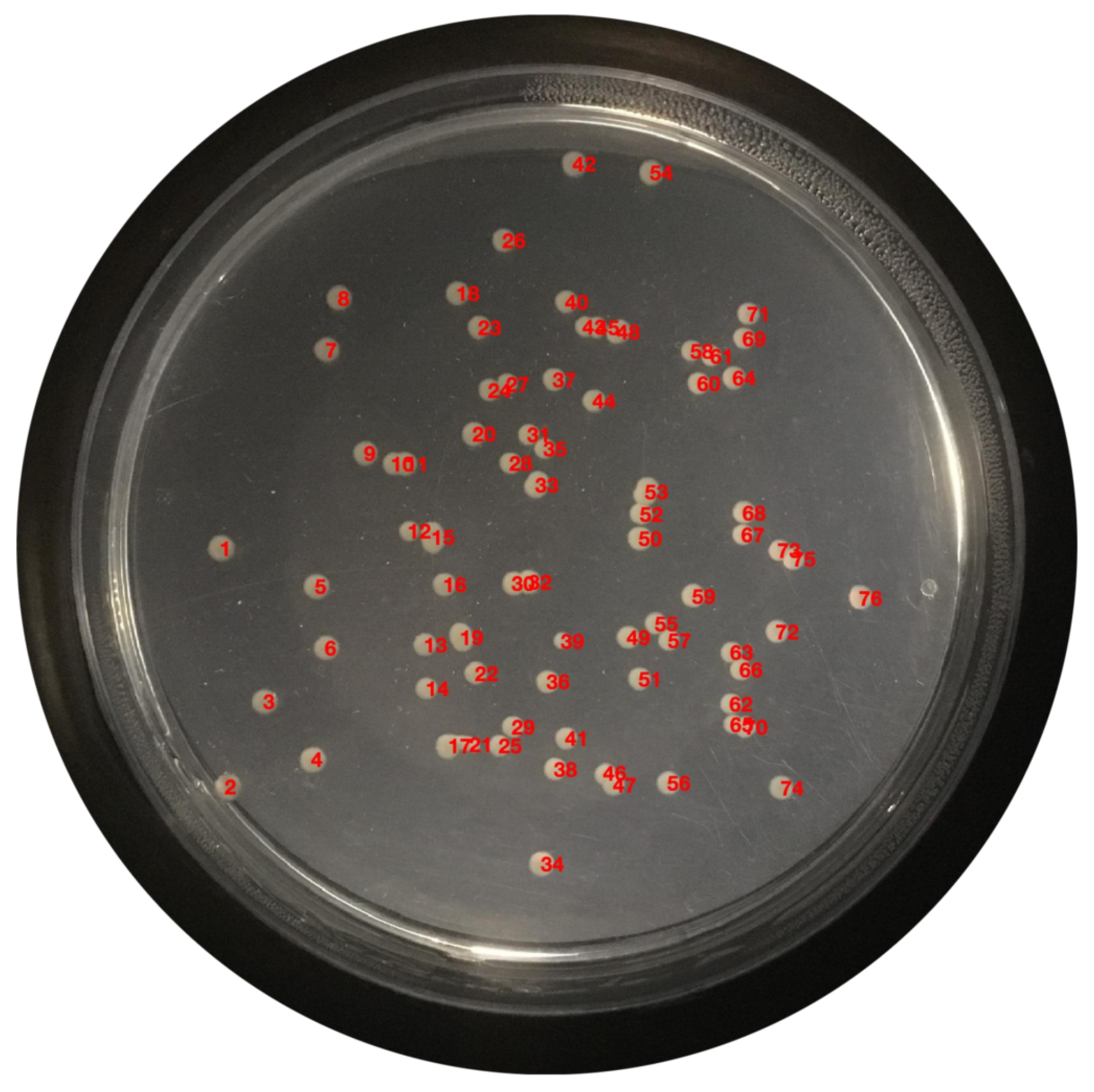 Bioengineering 09 00271 g019