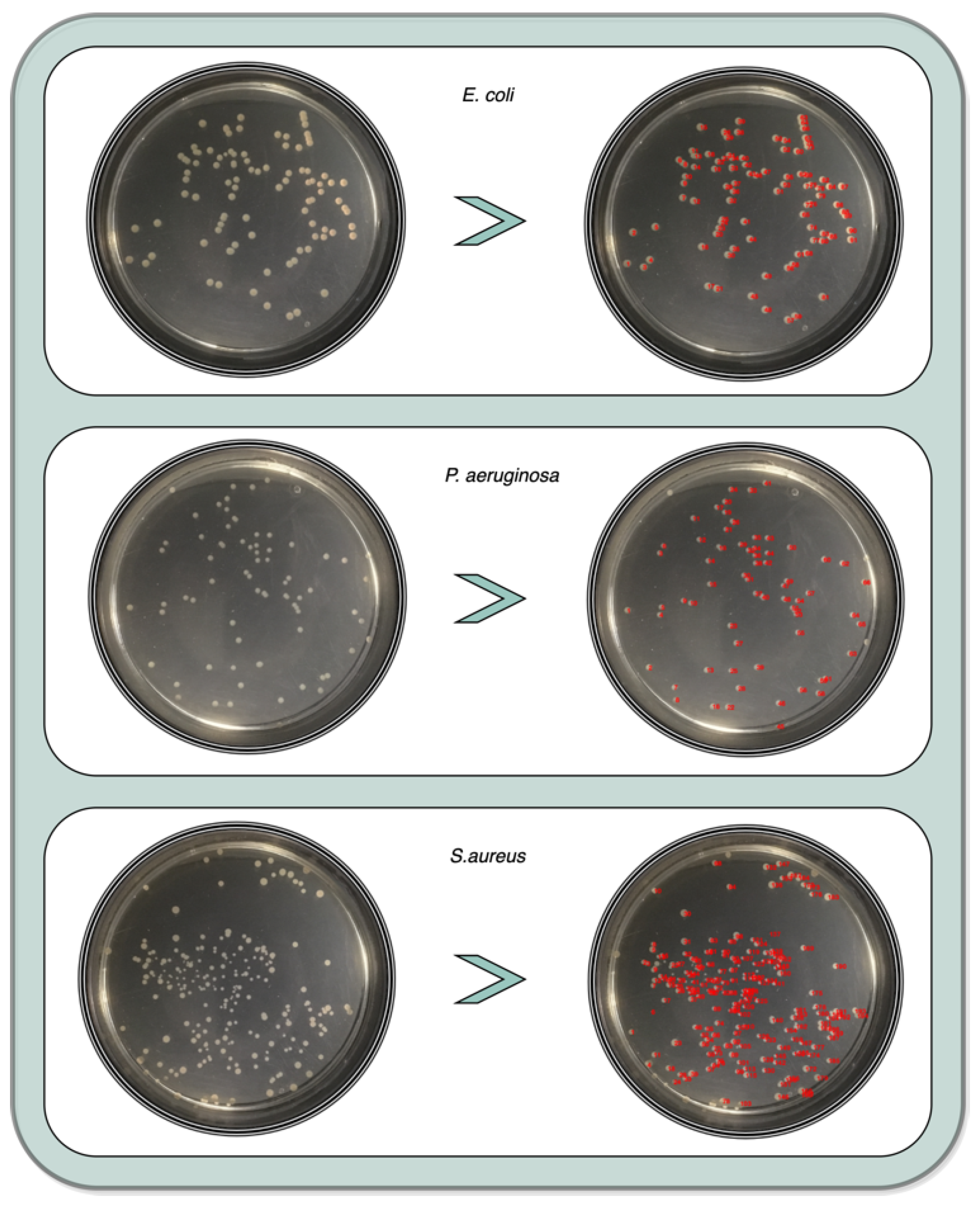 Bioengineering 09 00271 g020