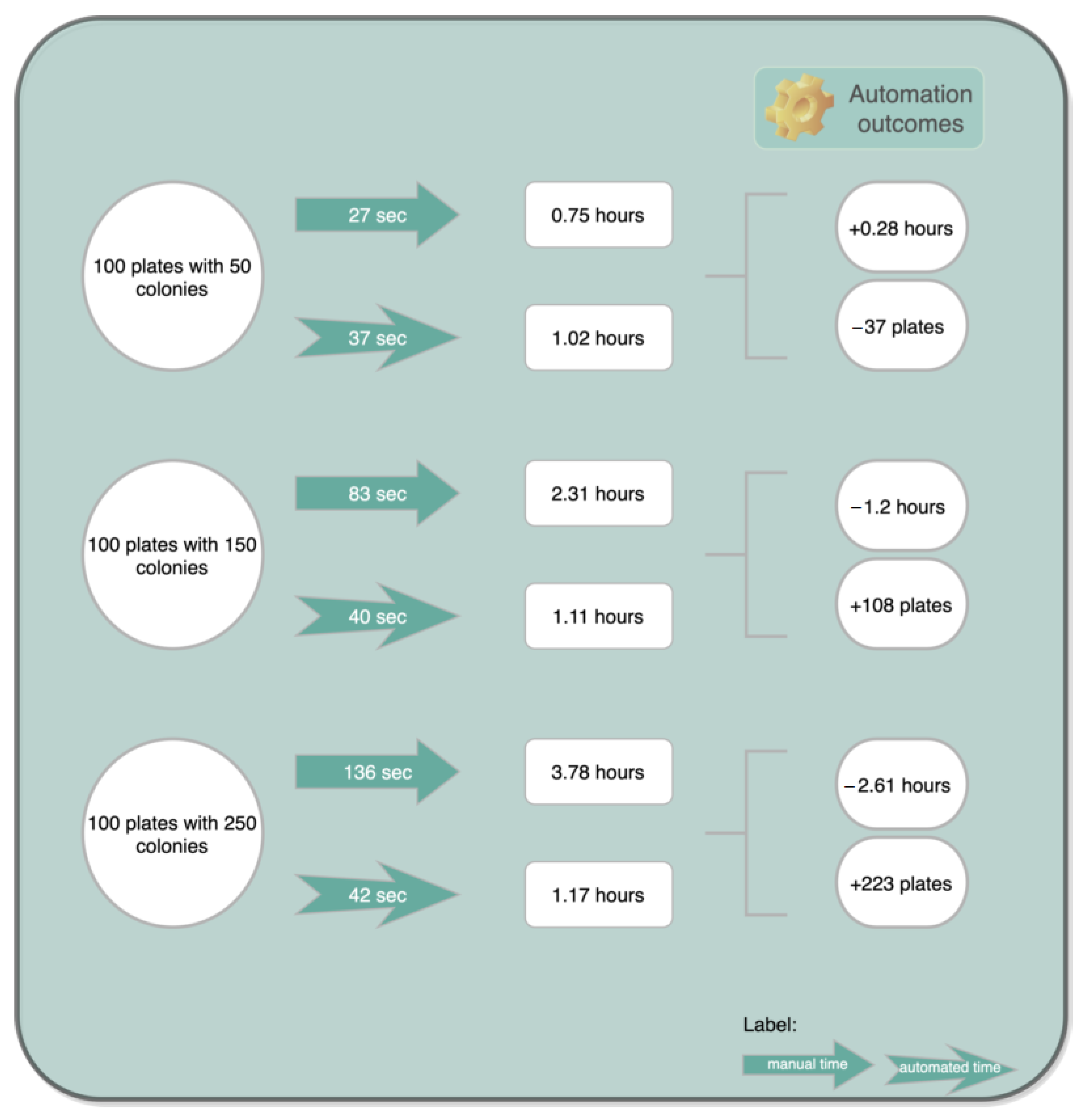 Bioengineering 09 00271 g022
