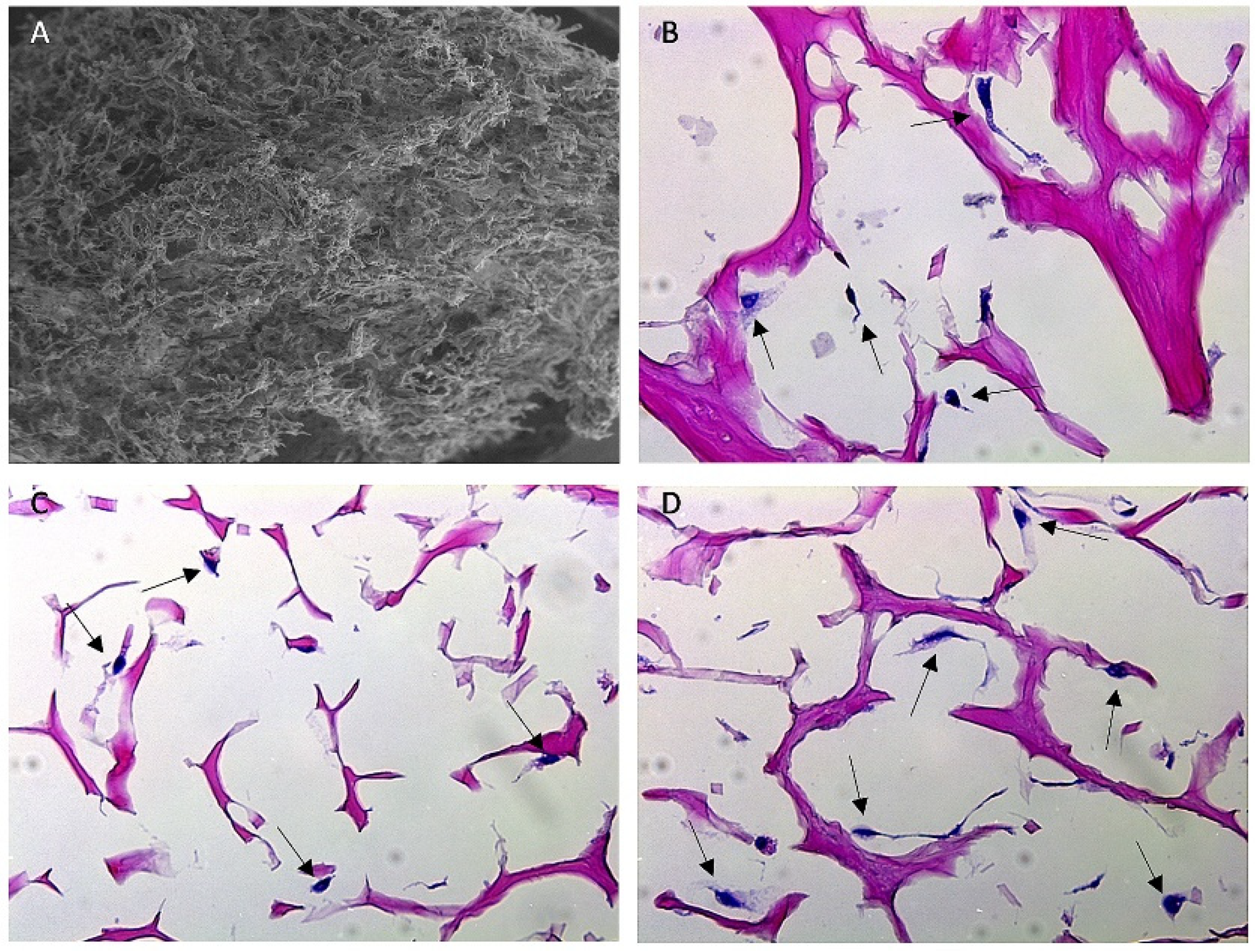 Bioengineering 09 00275 g004