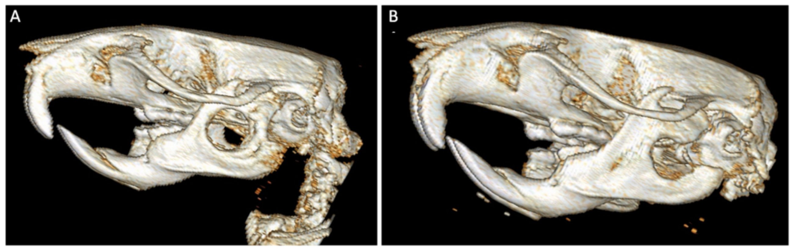 Bioengineering 09 00275 g005