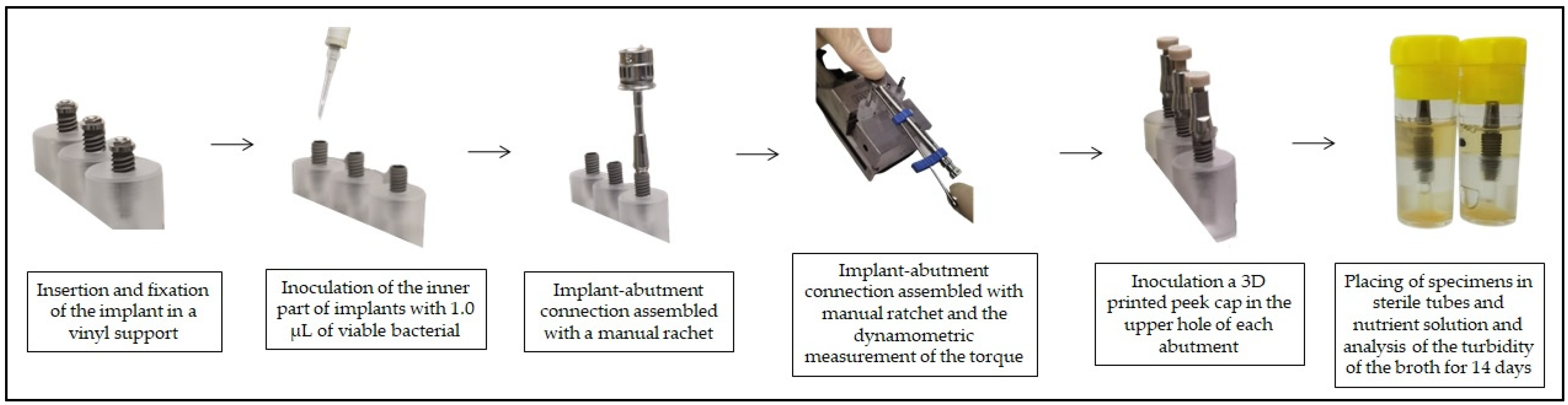 Bioengineering 09 00277 g001