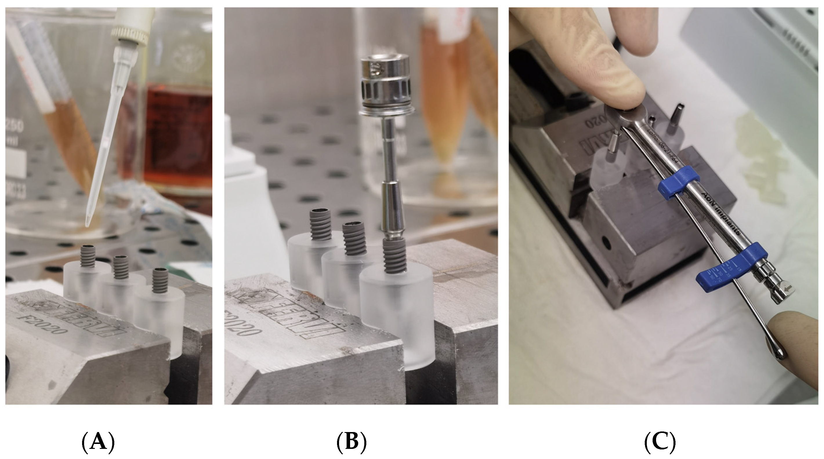 Bioengineering 09 00277 g004