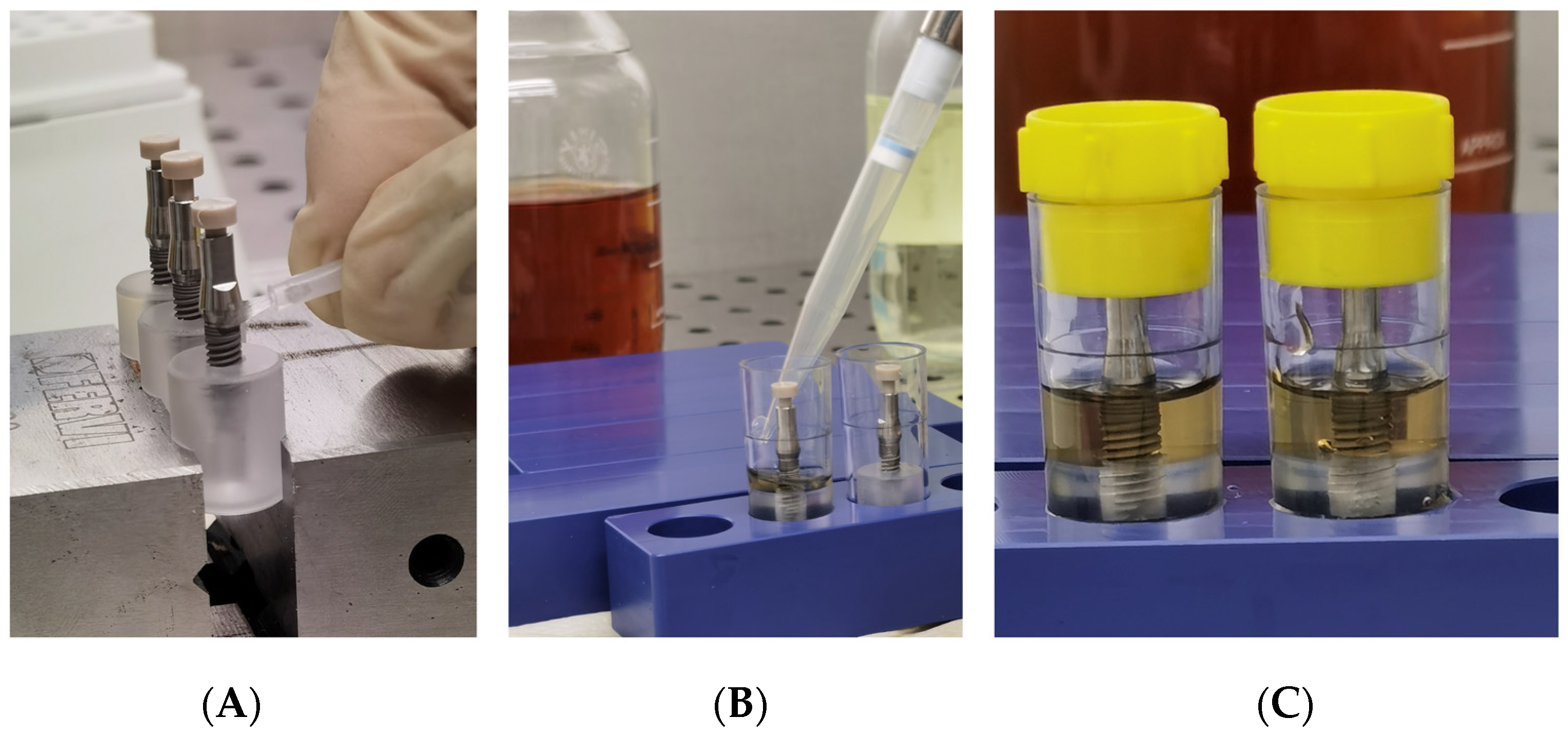 Bioengineering 09 00277 g005