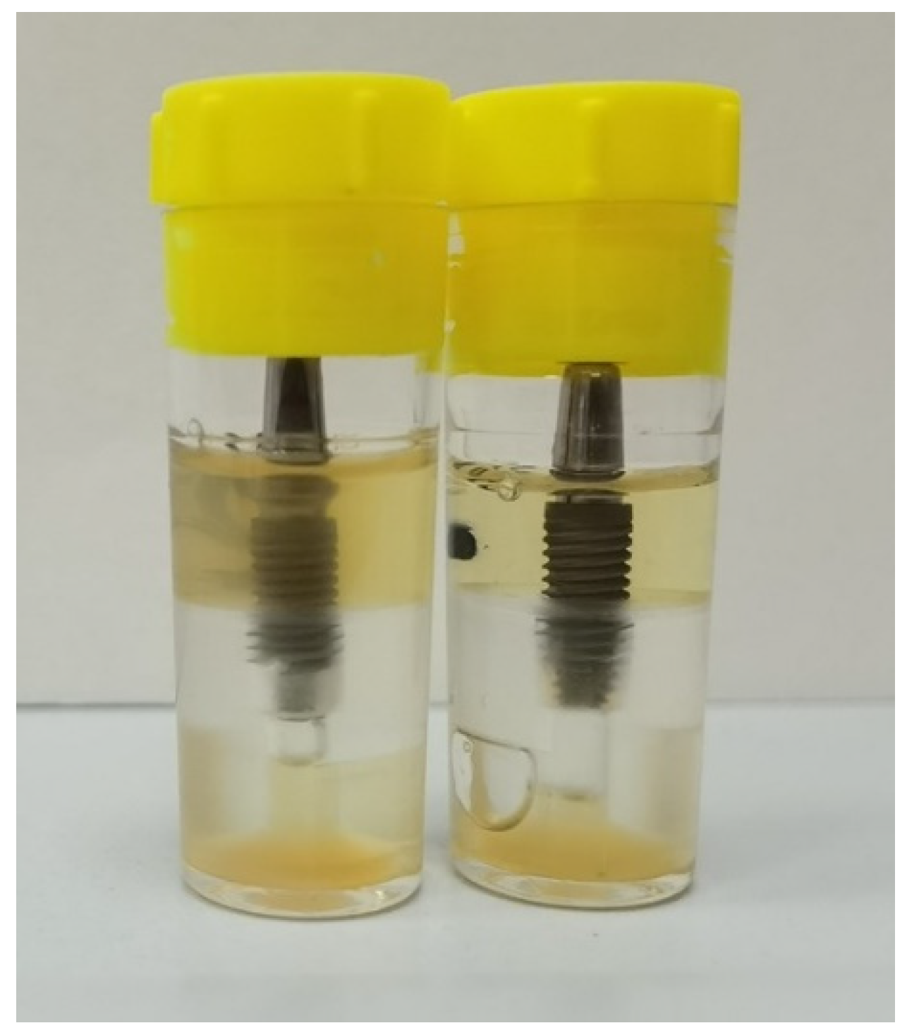 Bioengineering 09 00277 g006