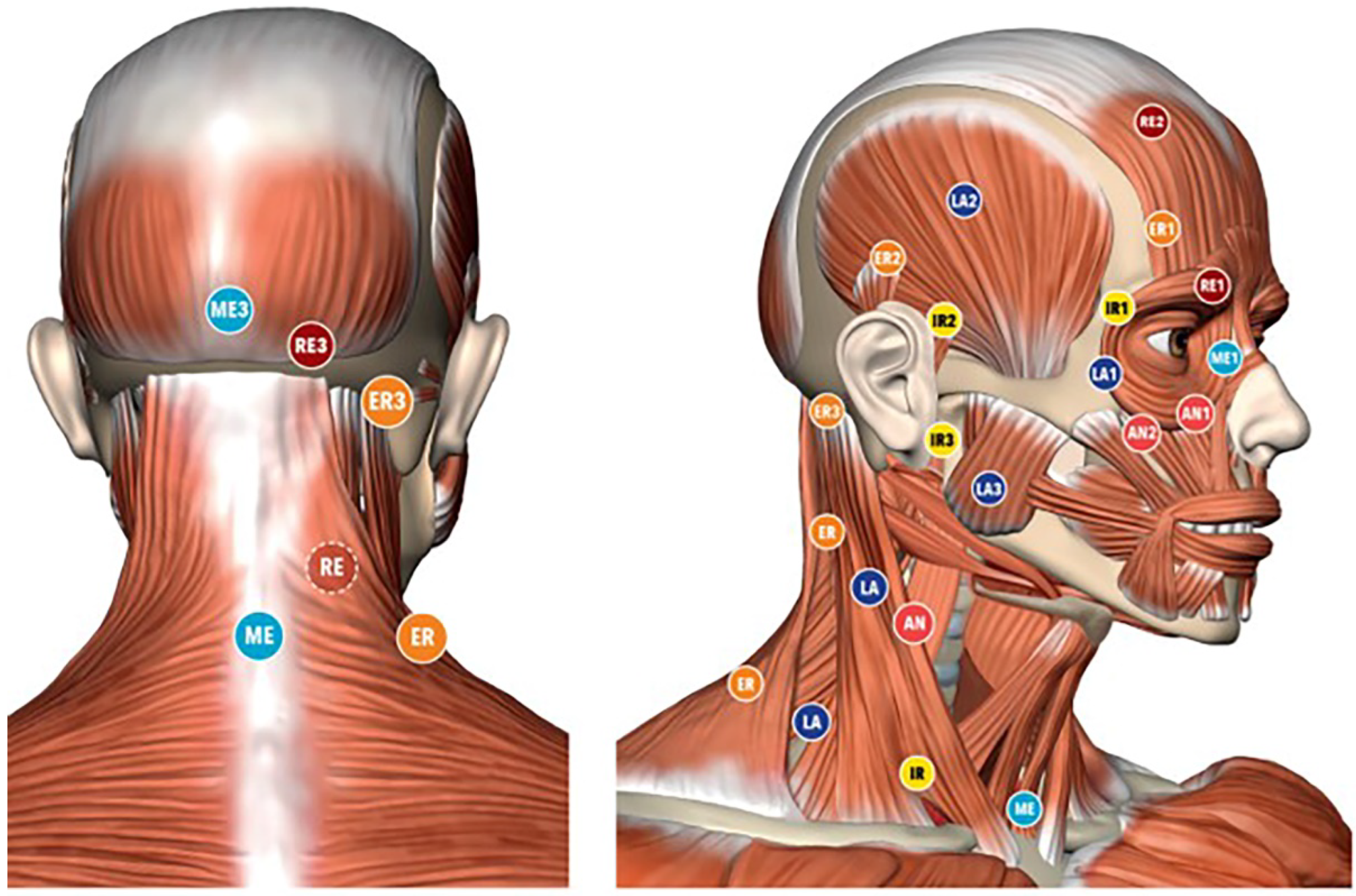 Bioengineering 09 00279 g001