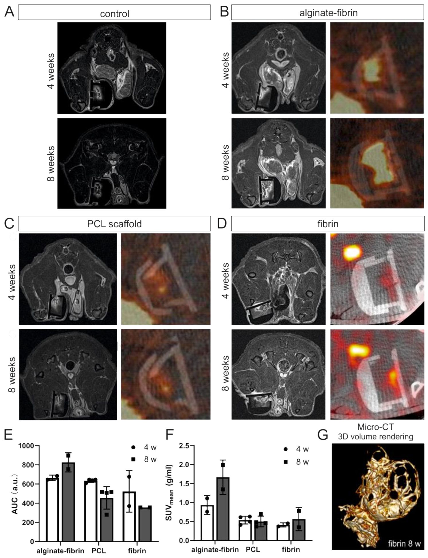 Bioengineering 09 00280 g003