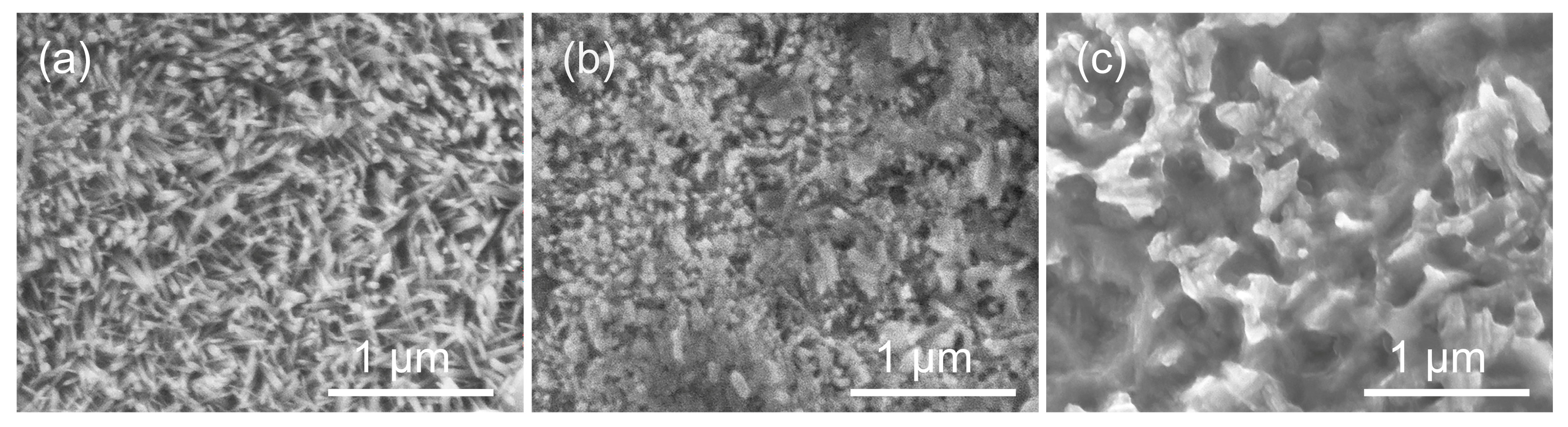 Bioengineering 09 00289 g005 Bioengineering 09 00289 g005