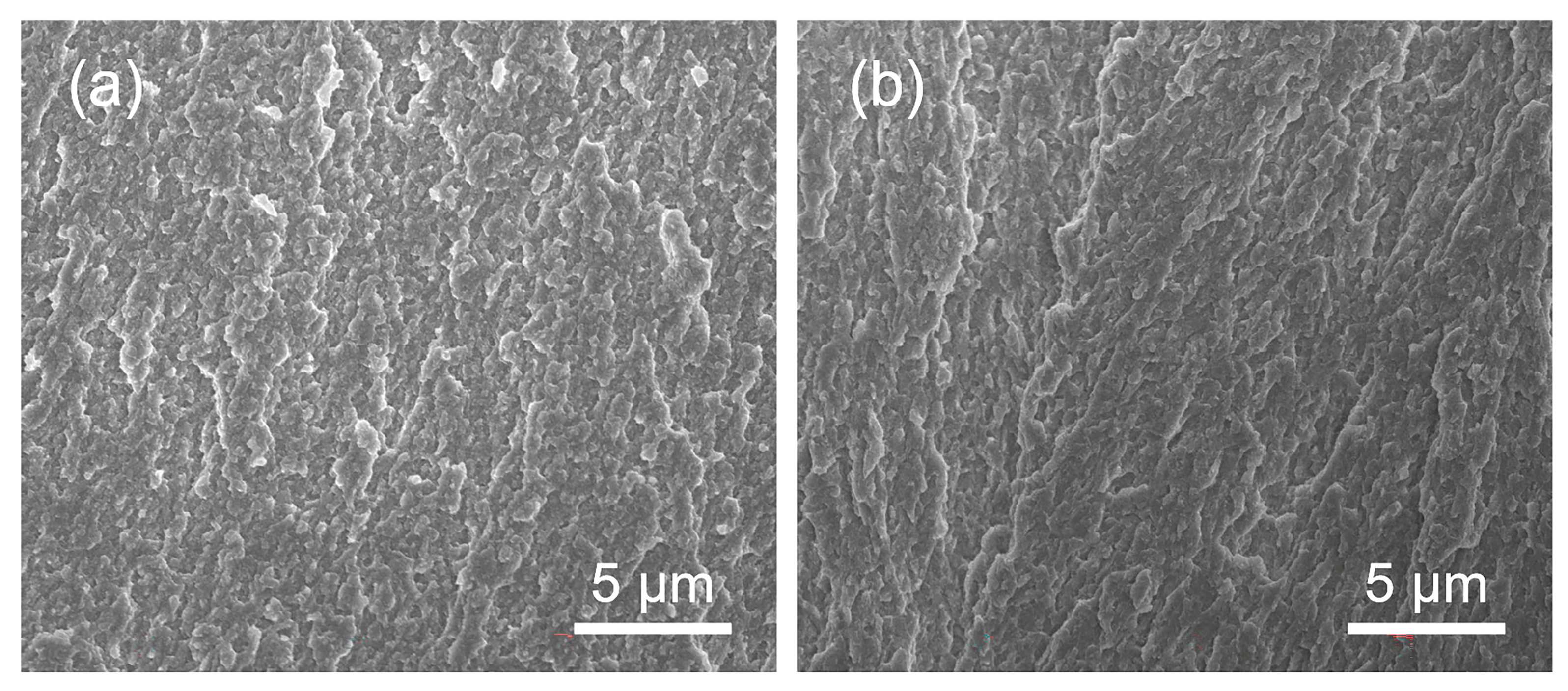 Bioengineering 09 00289 g006 Bioengineering 09 00289 g006
