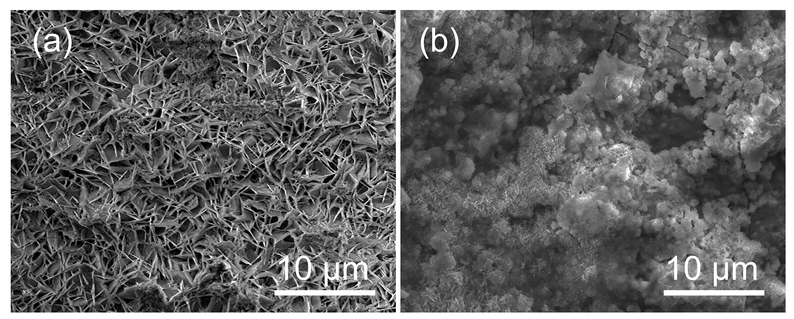 Bioengineering 09 00289 g012 Bioengineering 09 00289 g012