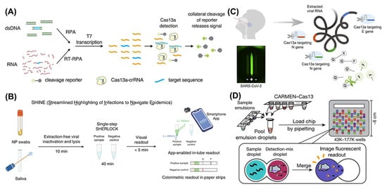 Bioengineering 09 00291 g003 550