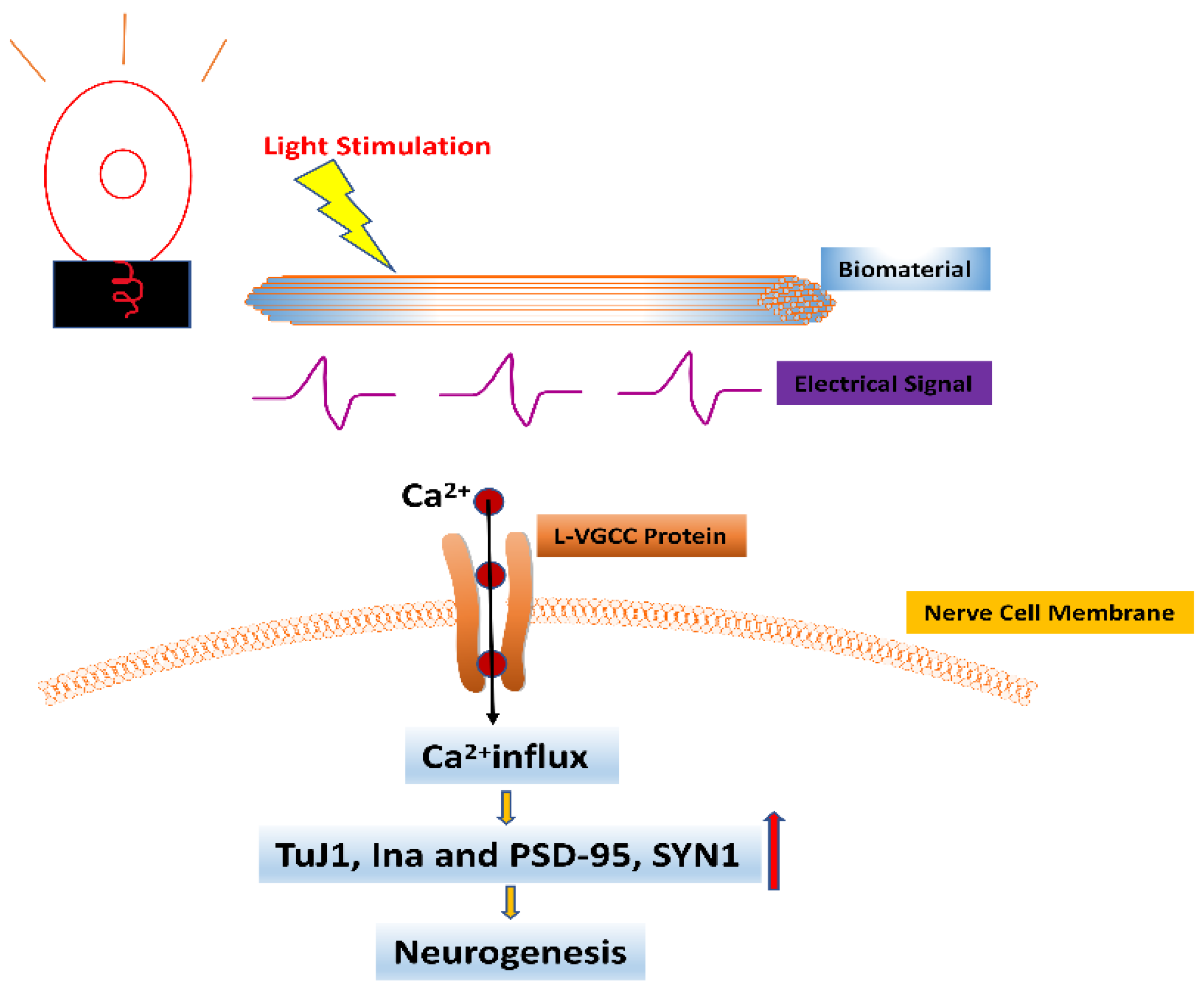Bioengineering 09 00292 g003 Bioengineering 09 00292 g003