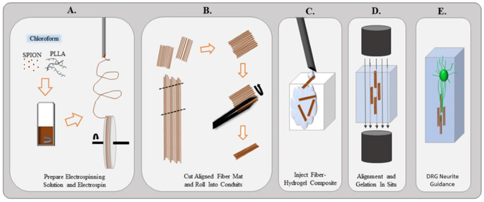 Bioengineering 09 00292 g004 Bioengineering 09 00292 g004