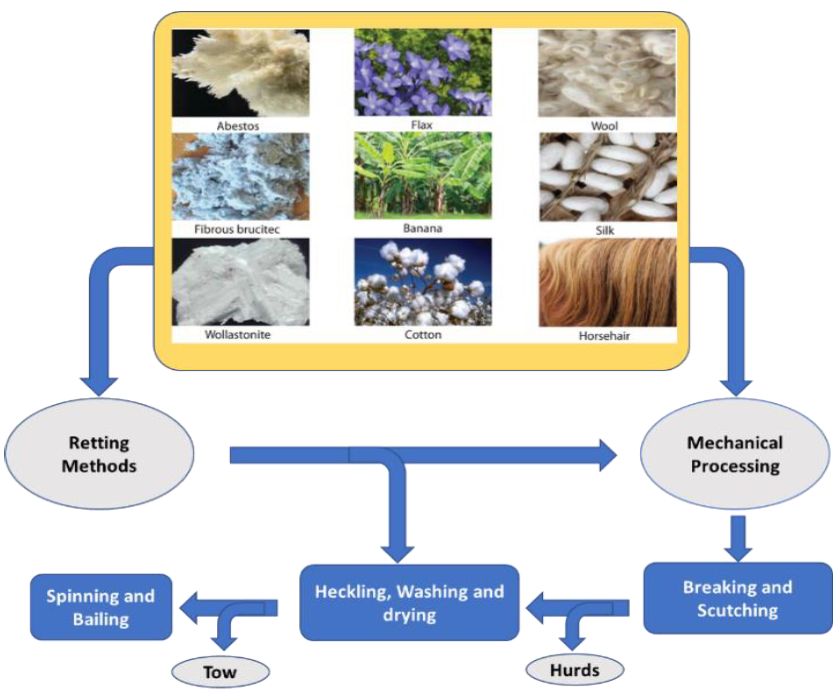Bioengineering 09 00296 g002
