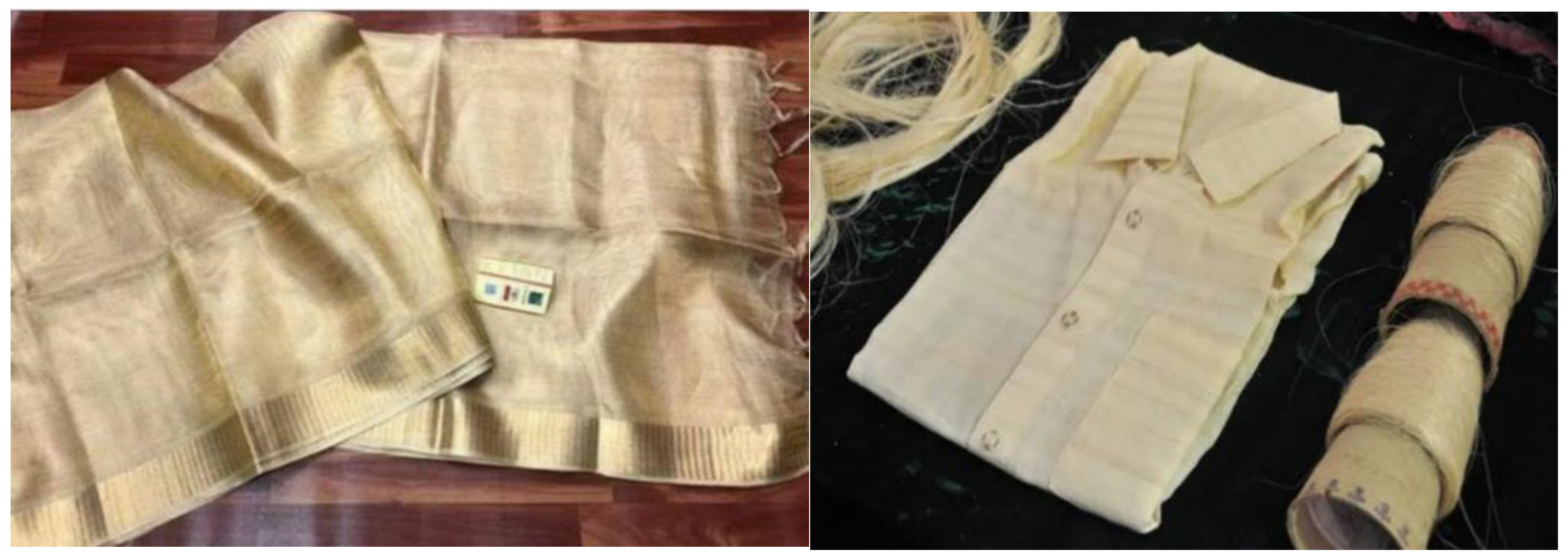 Bioengineering 09 00296 g005