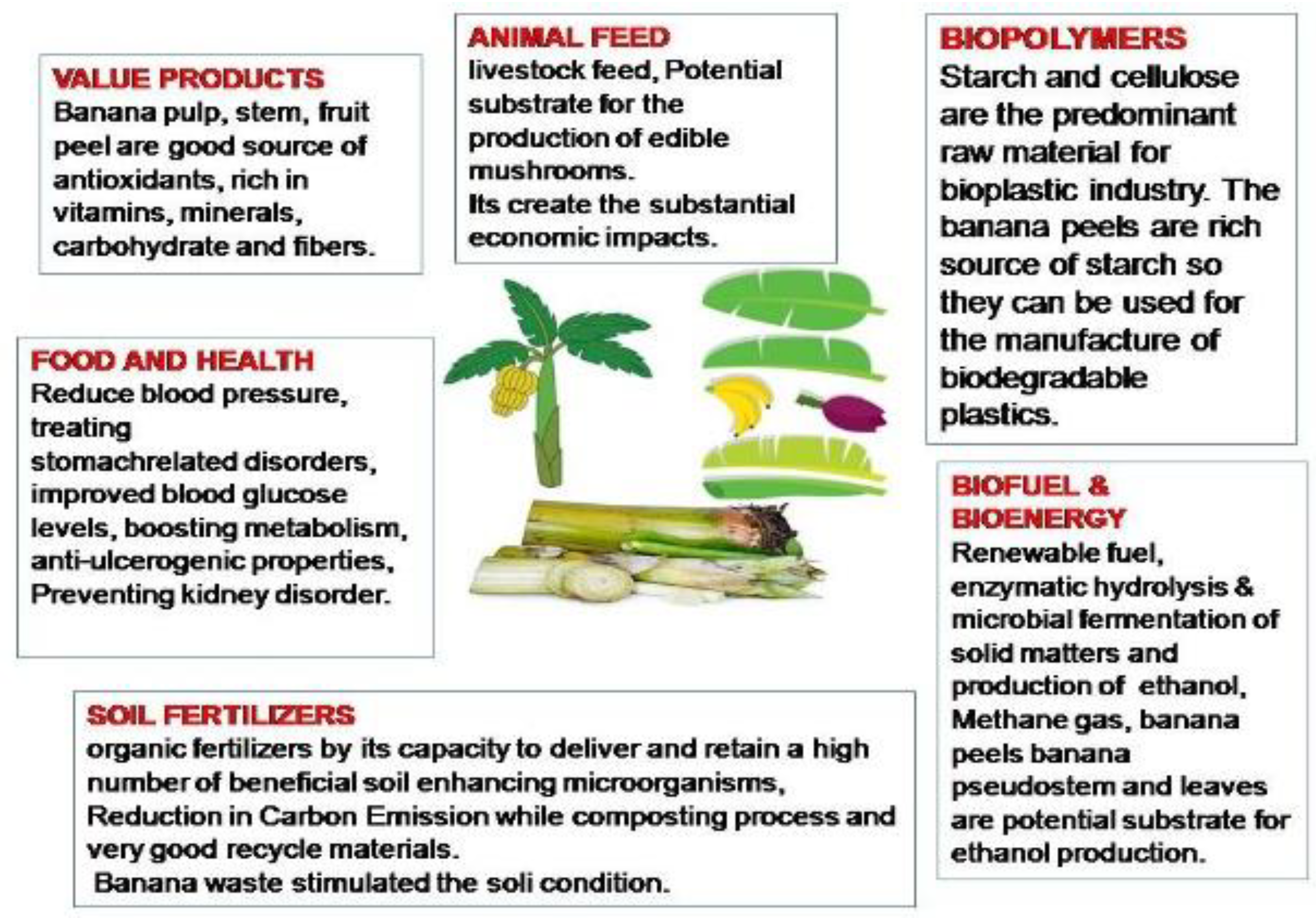 Bioengineering 09 00296 g006
