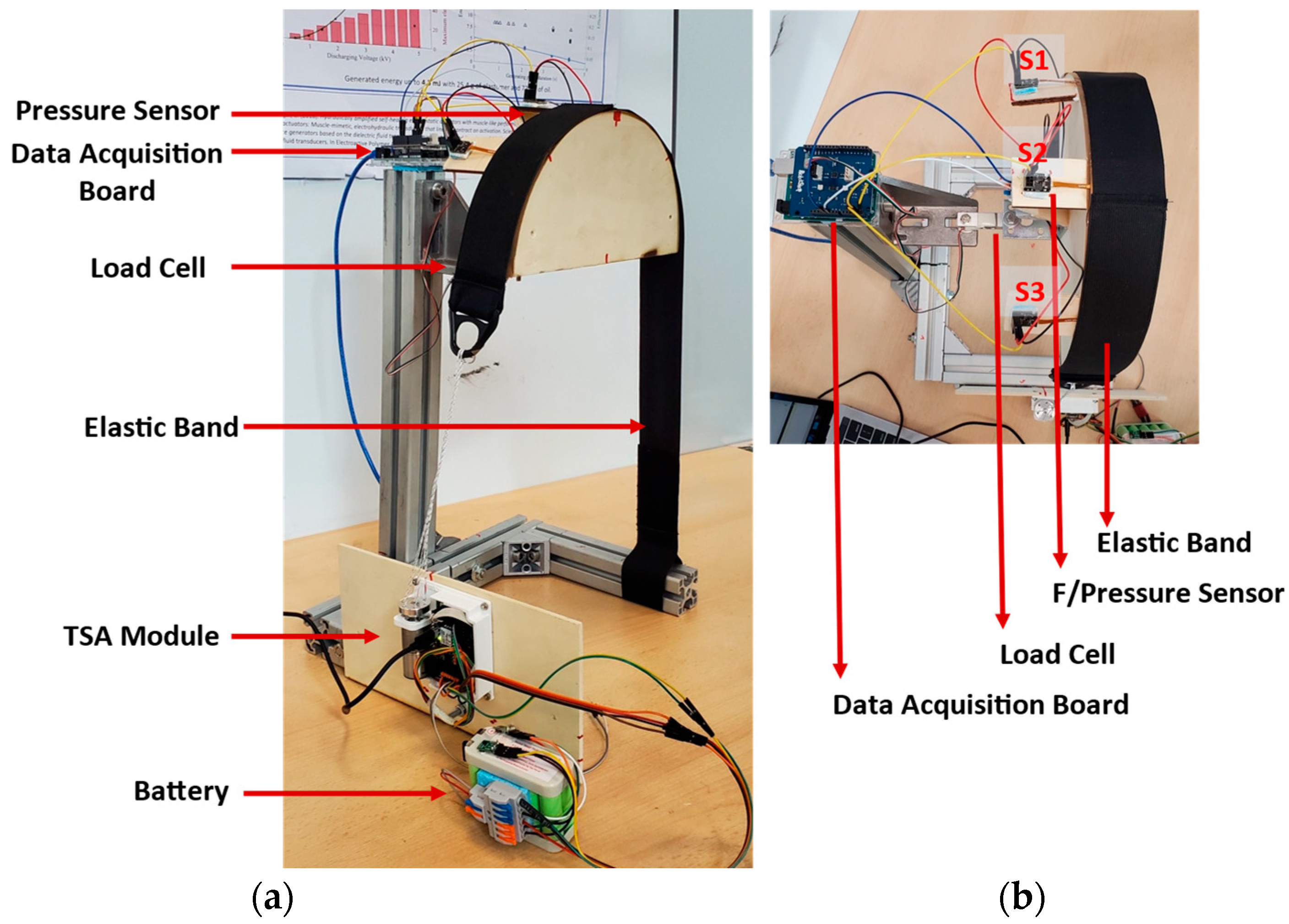 Bioengineering 09 00303 g003