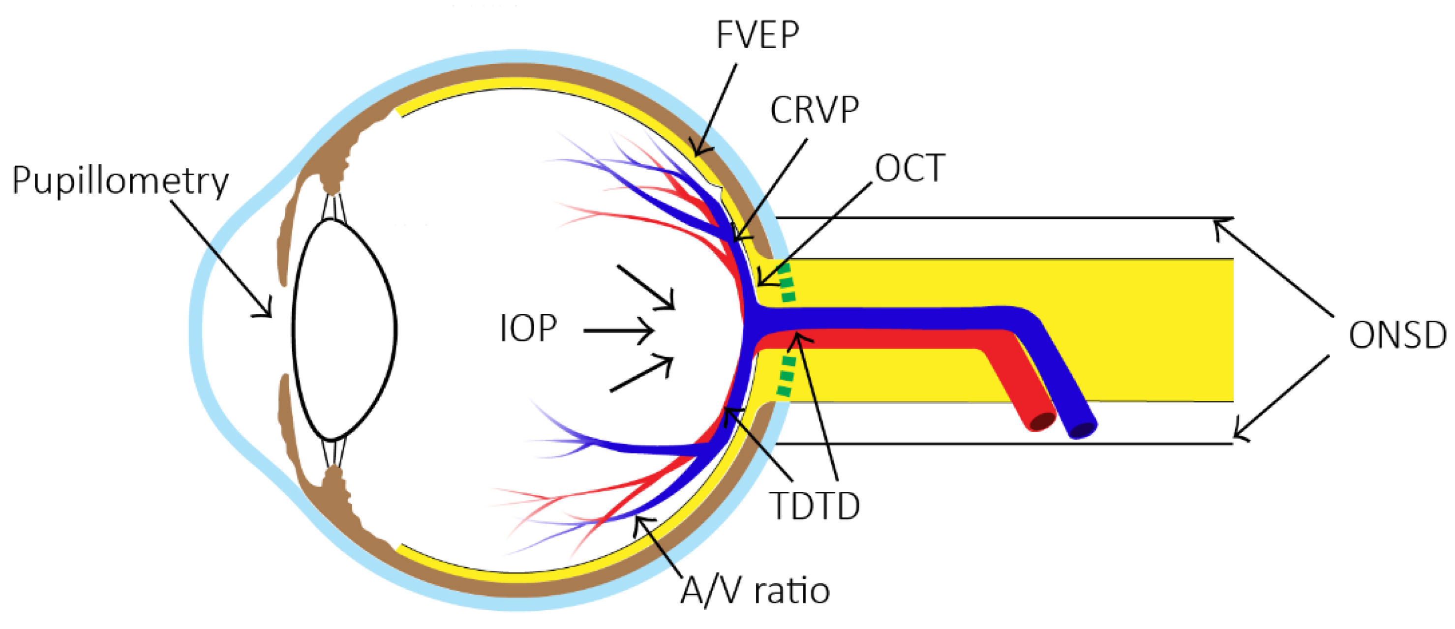 Bioengineering 09 00304 g001