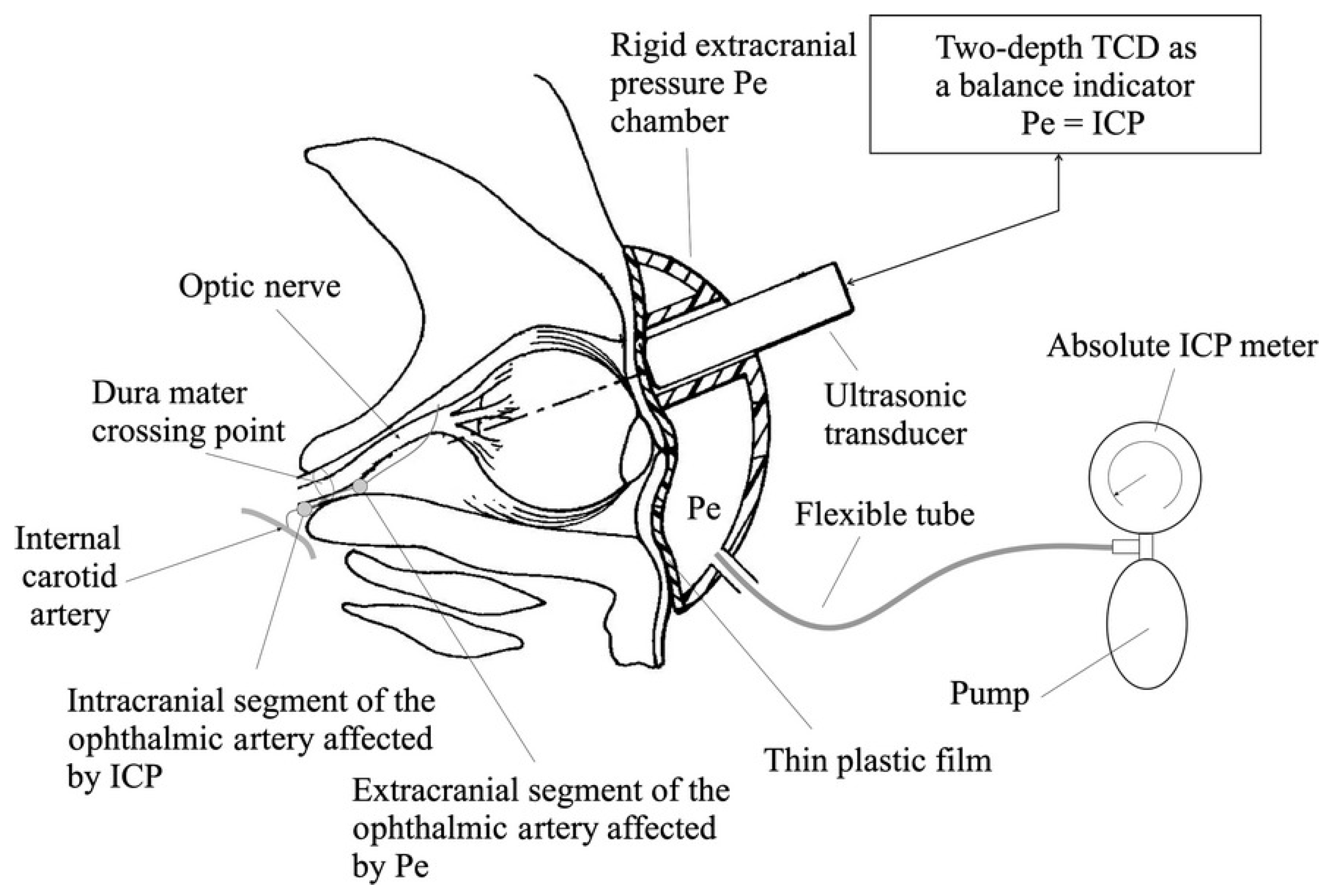 Bioengineering 09 00304 g003