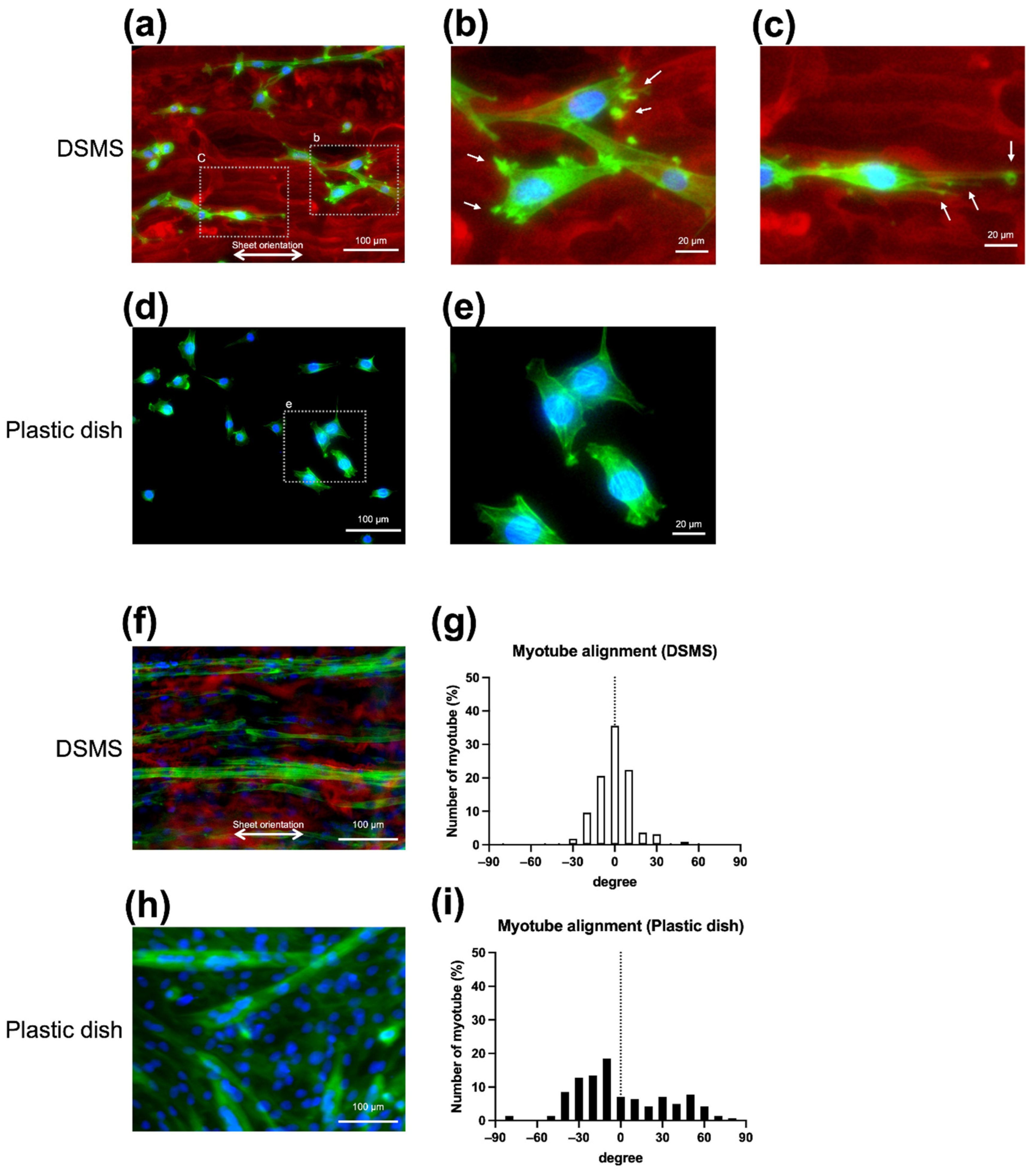 Bioengineering 09 00309 g003