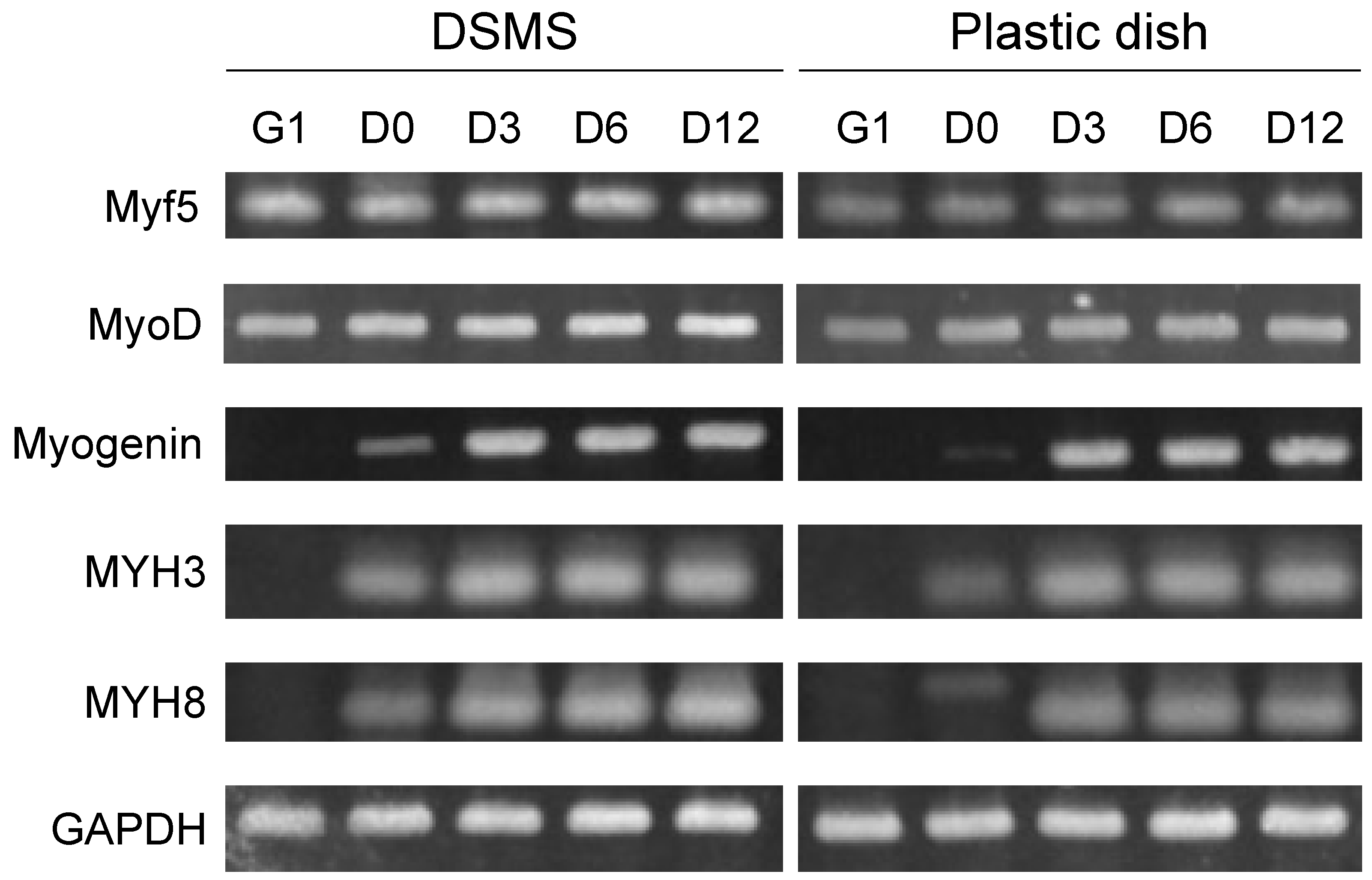 Bioengineering 09 00309 g004