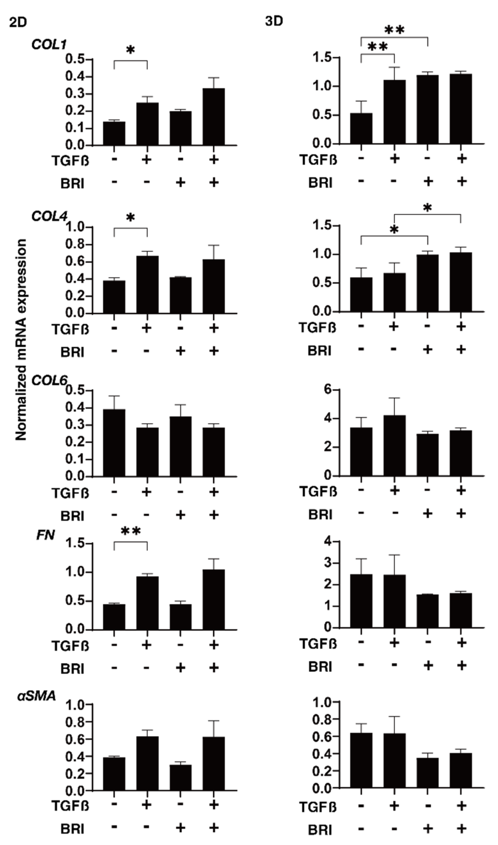 Bioengineering 09 00310 g004