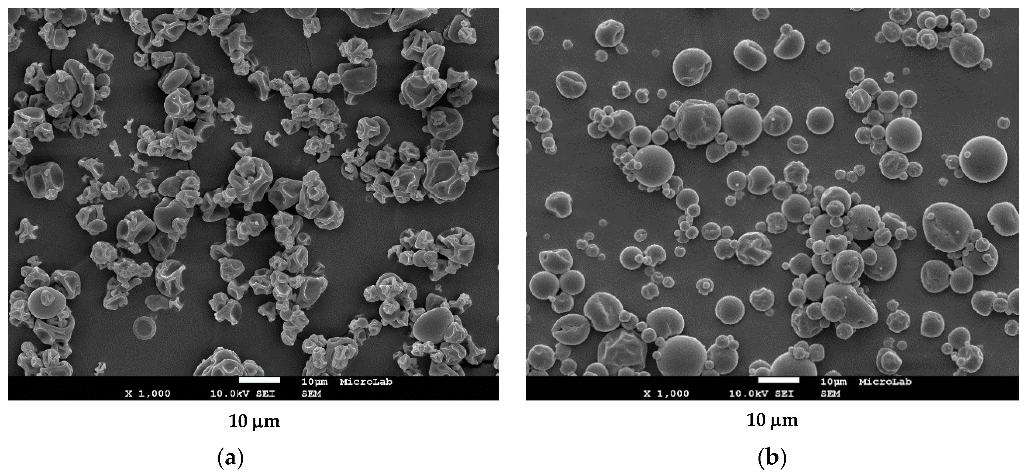 Bioengineering 09 00311 g004