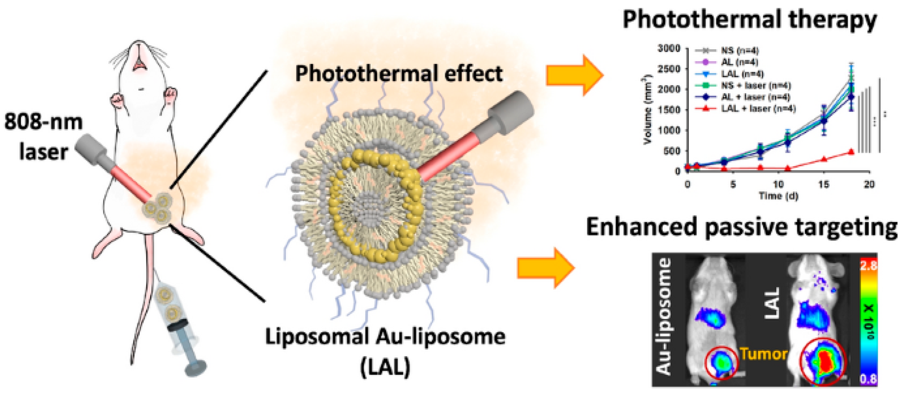 Bioengineering 09 00320 g005