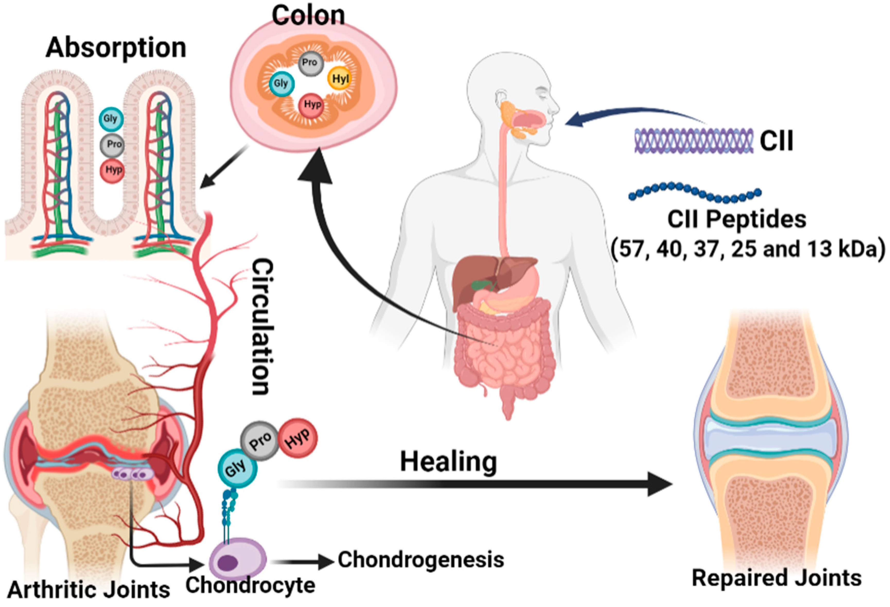 Bioengineering 09 00321 g003 Bioengineering 09 00321 g003