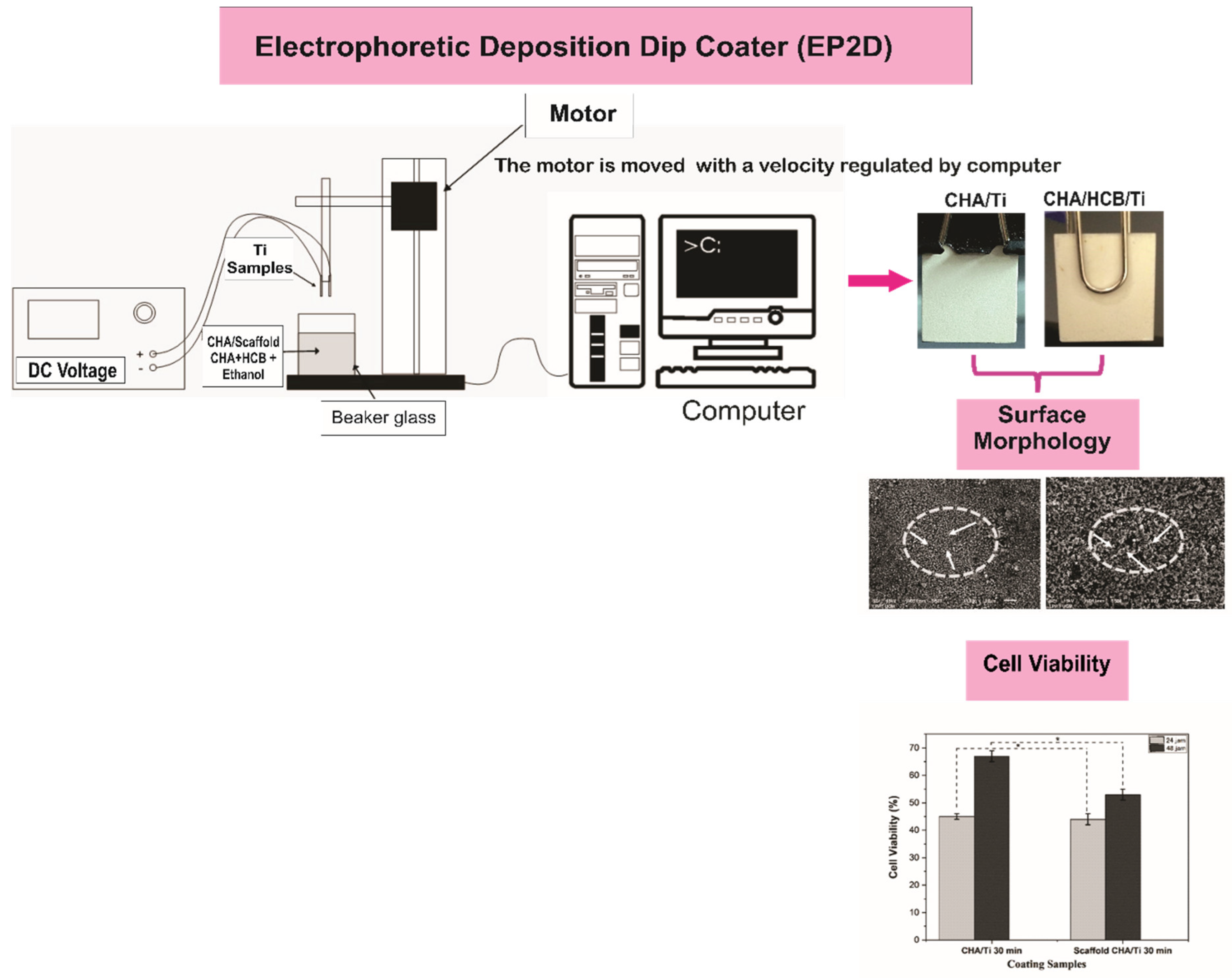 Bioengineering 09 00325 g001