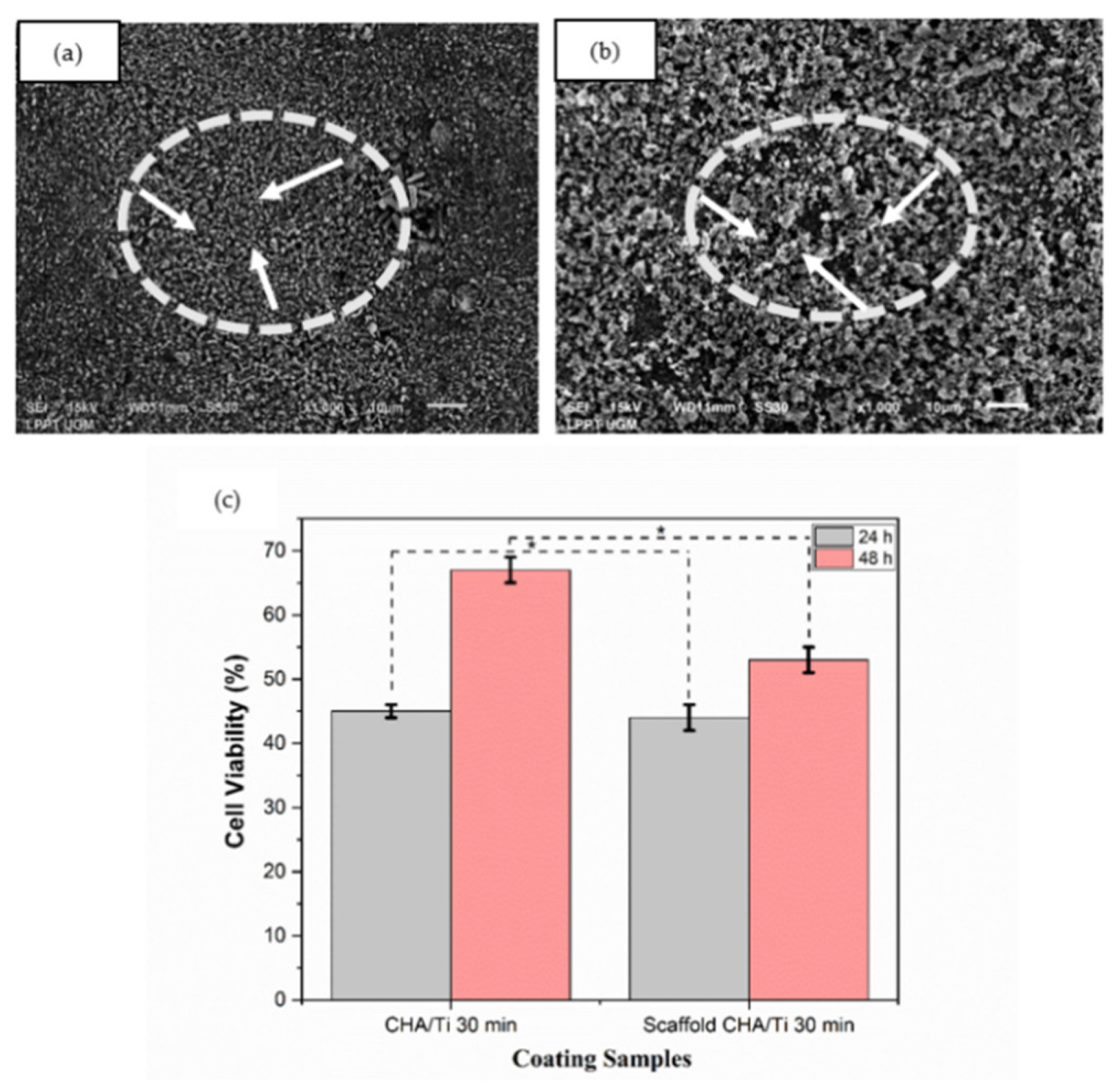 Bioengineering 09 00325 g003