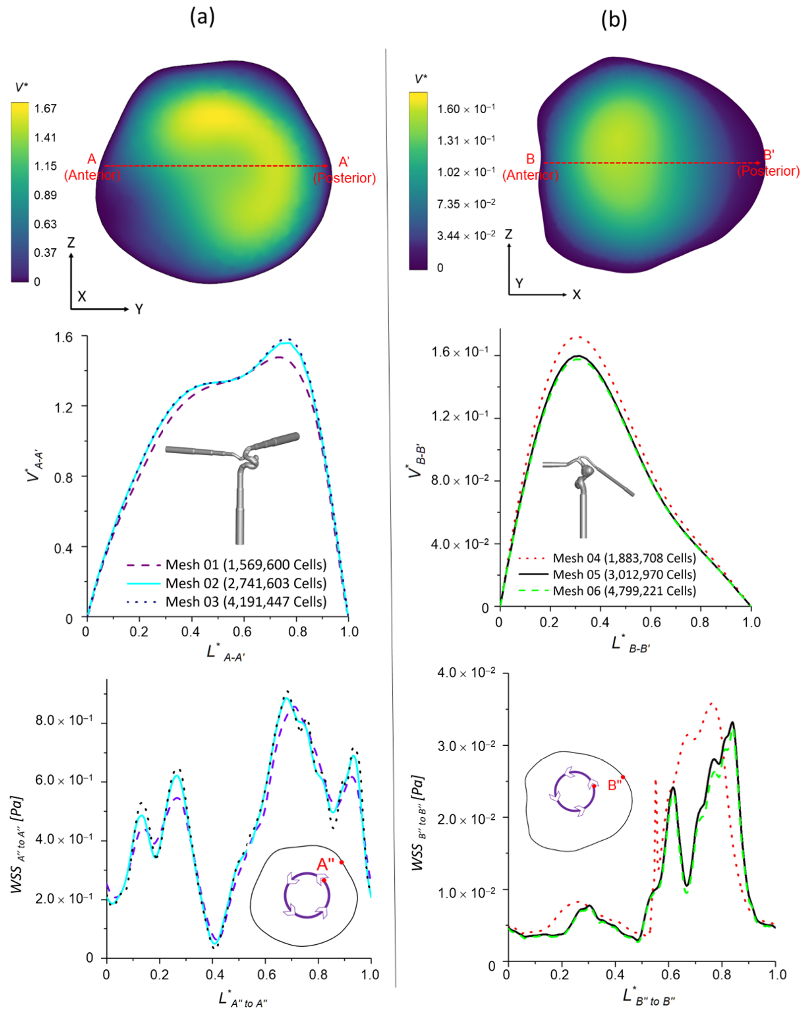 Bioengineering 09 00326 g002