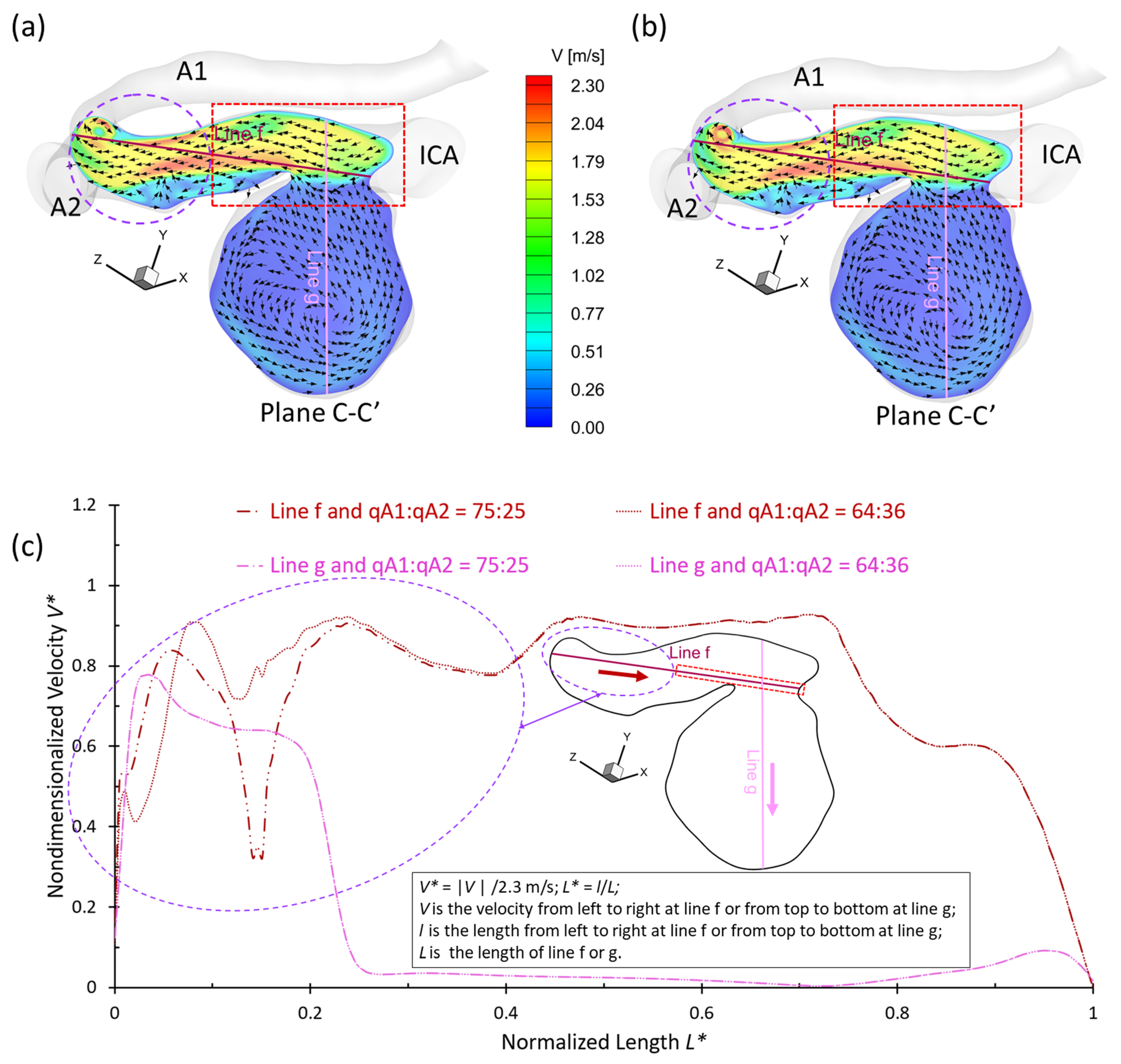 Bioengineering 09 00326 g012